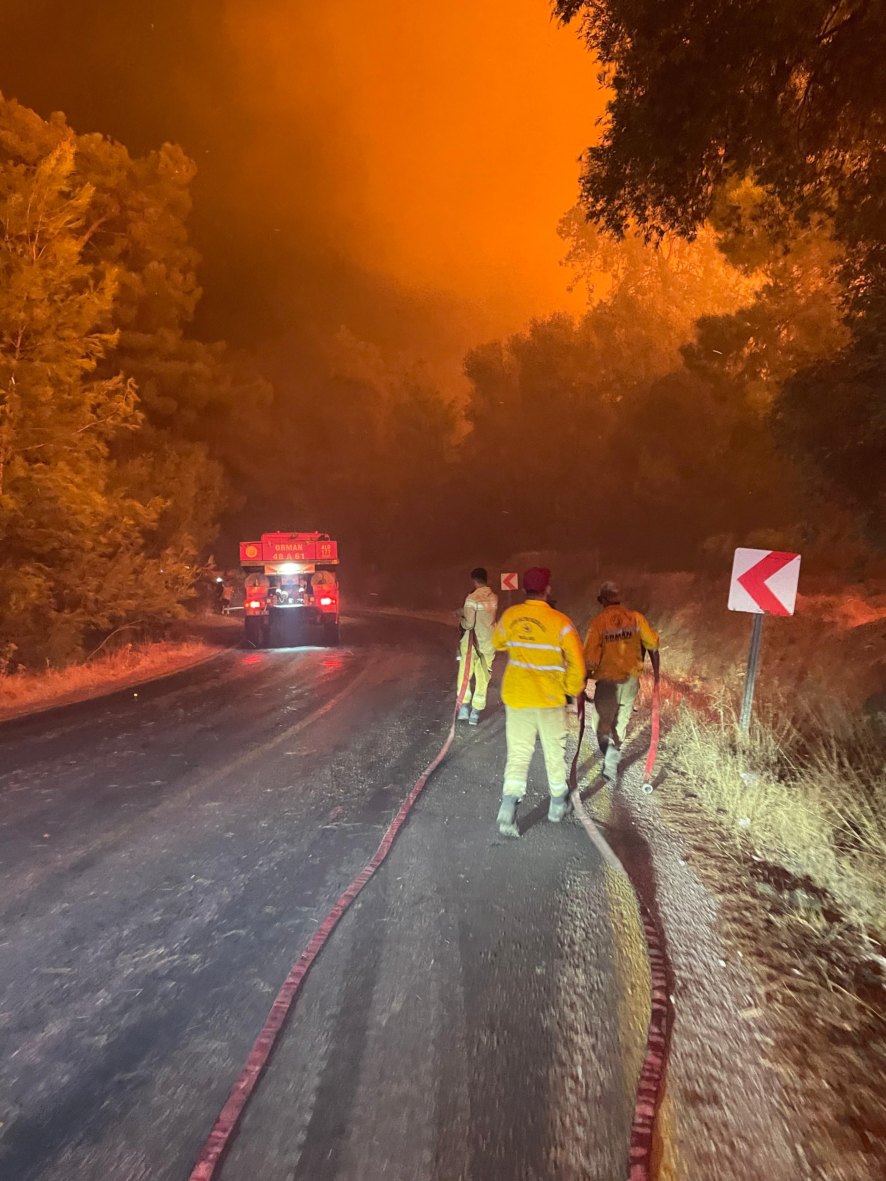 Muğla Köyceğiz ve Milas'ta orman yangını