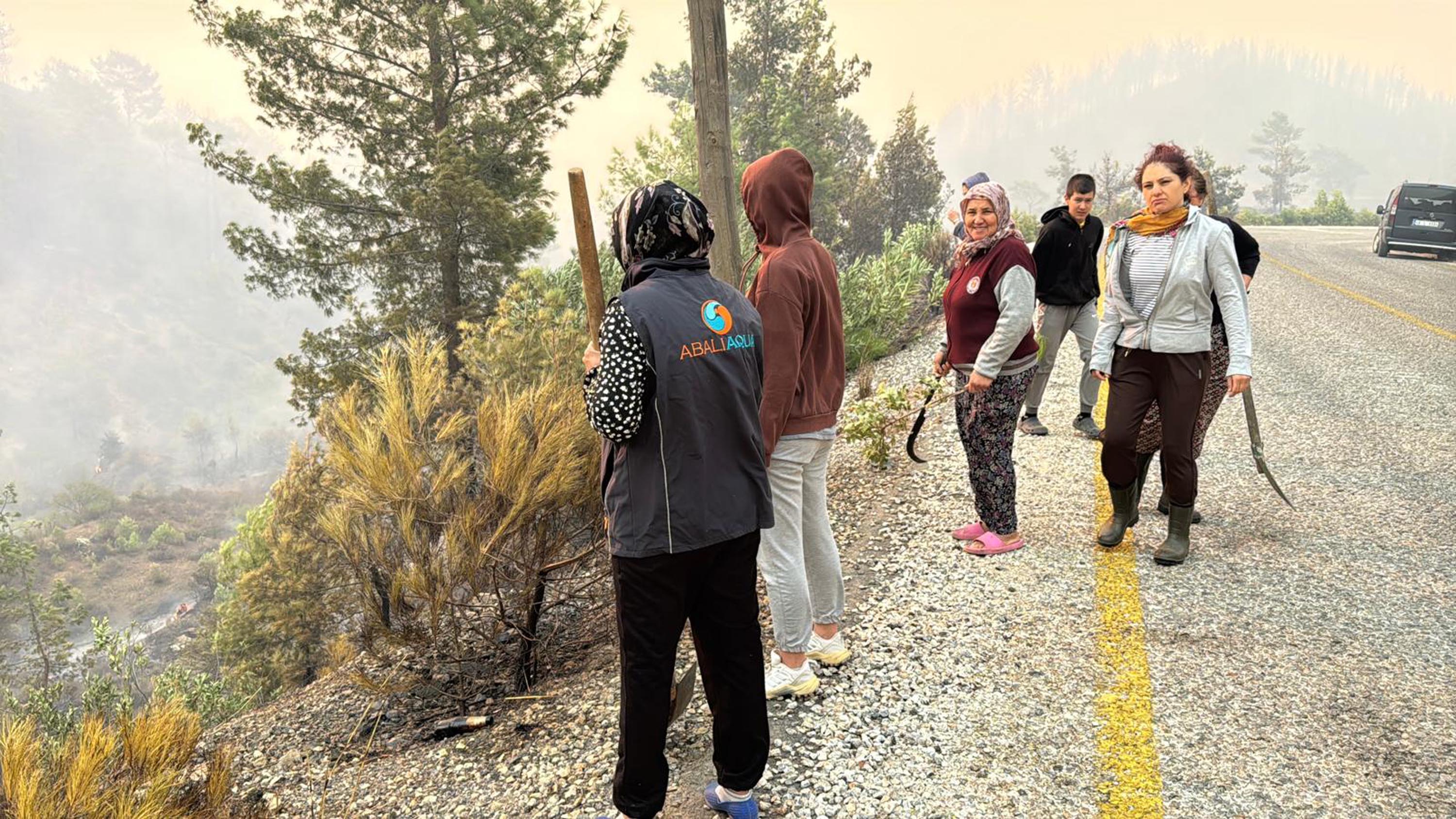 Muğla Köyceğiz ve Milas'ta orman yangını