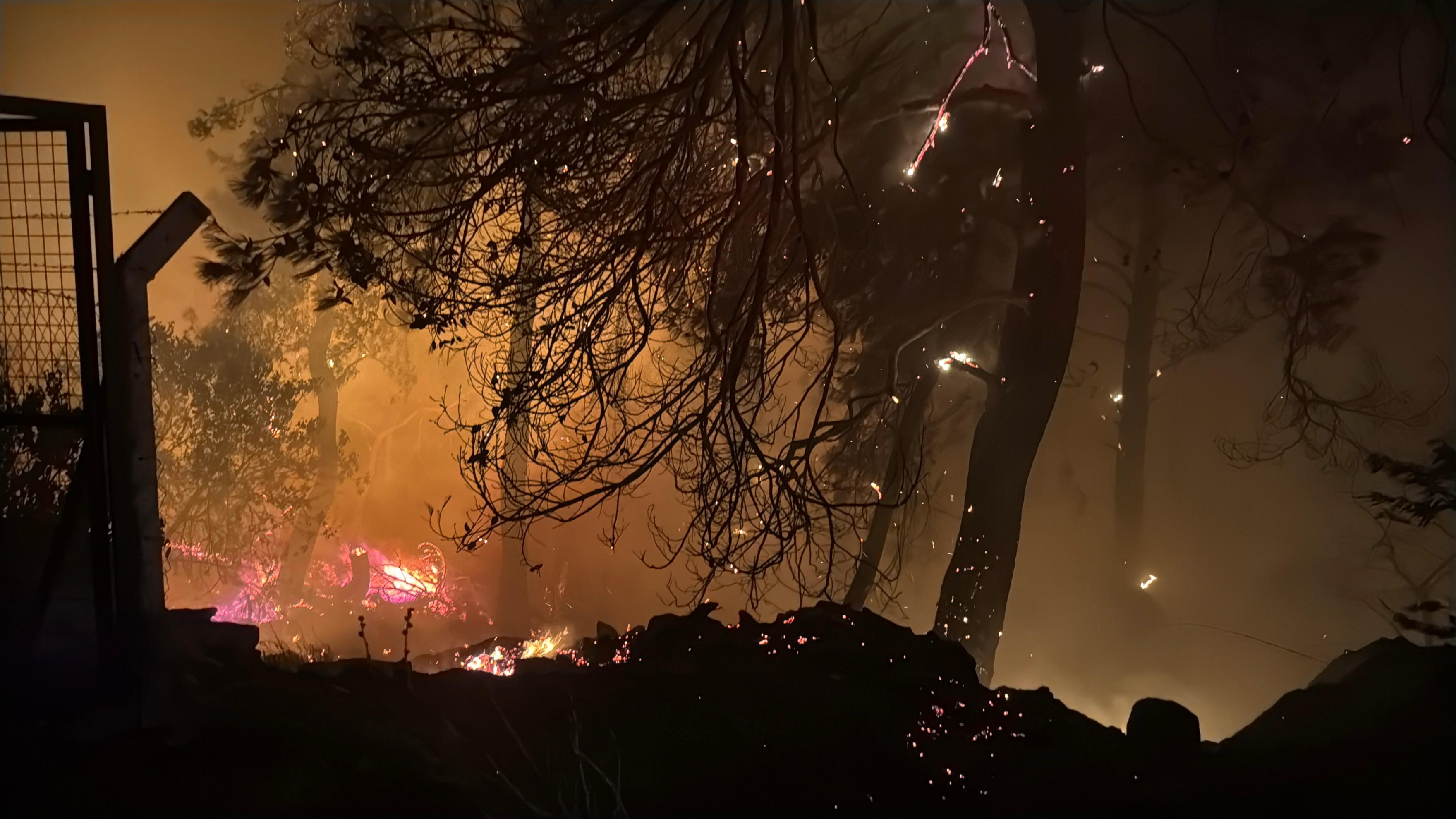 Muğla Köyceğiz ve Milas'ta orman yangını