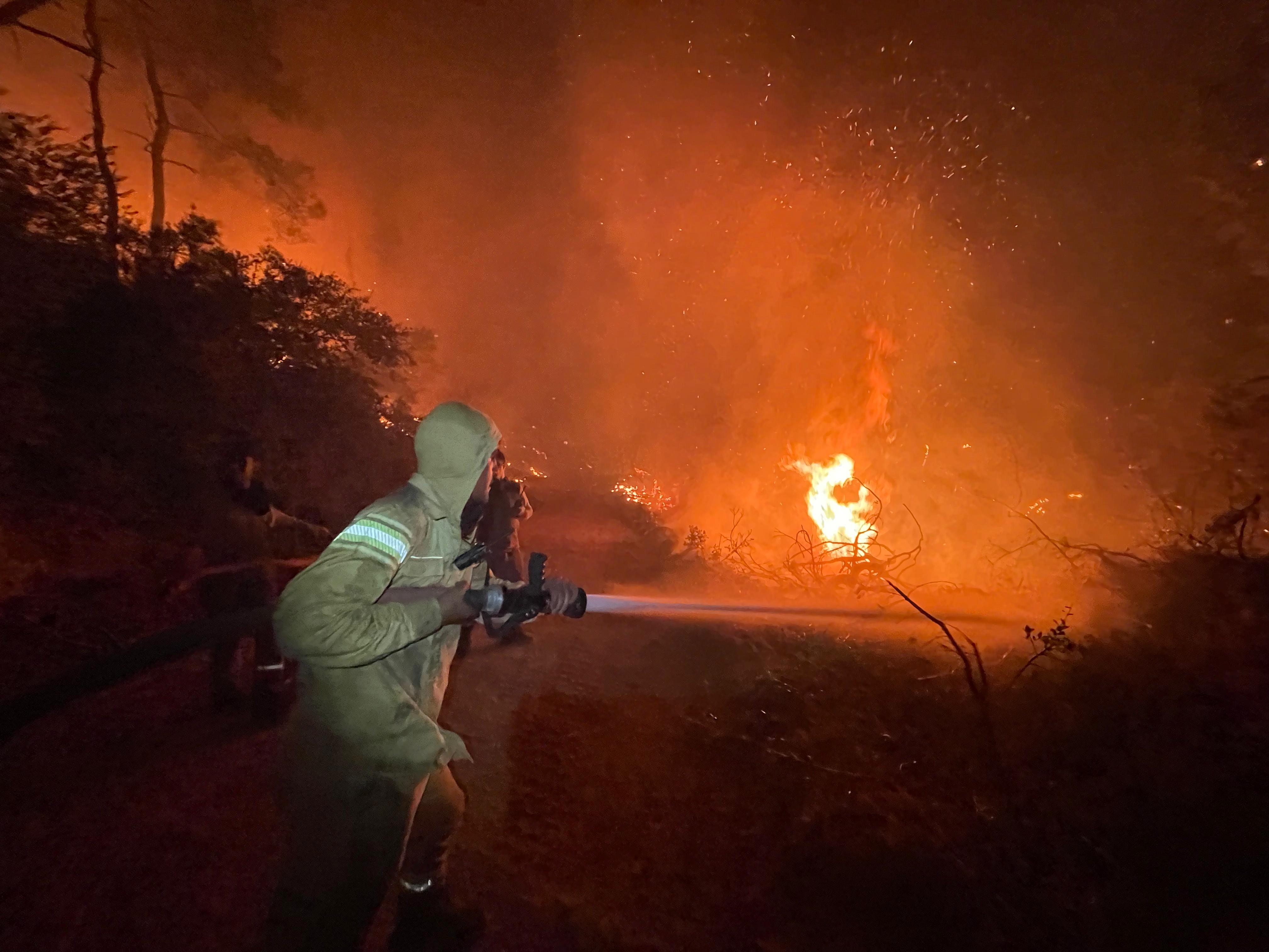 Muğla Köyceğiz ve Milas'ta orman yangını