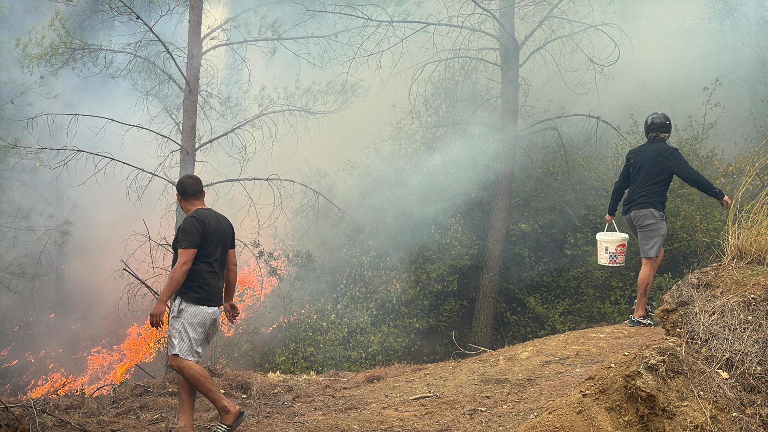 Muğla Köyceğiz ve Milas'ta orman yangını