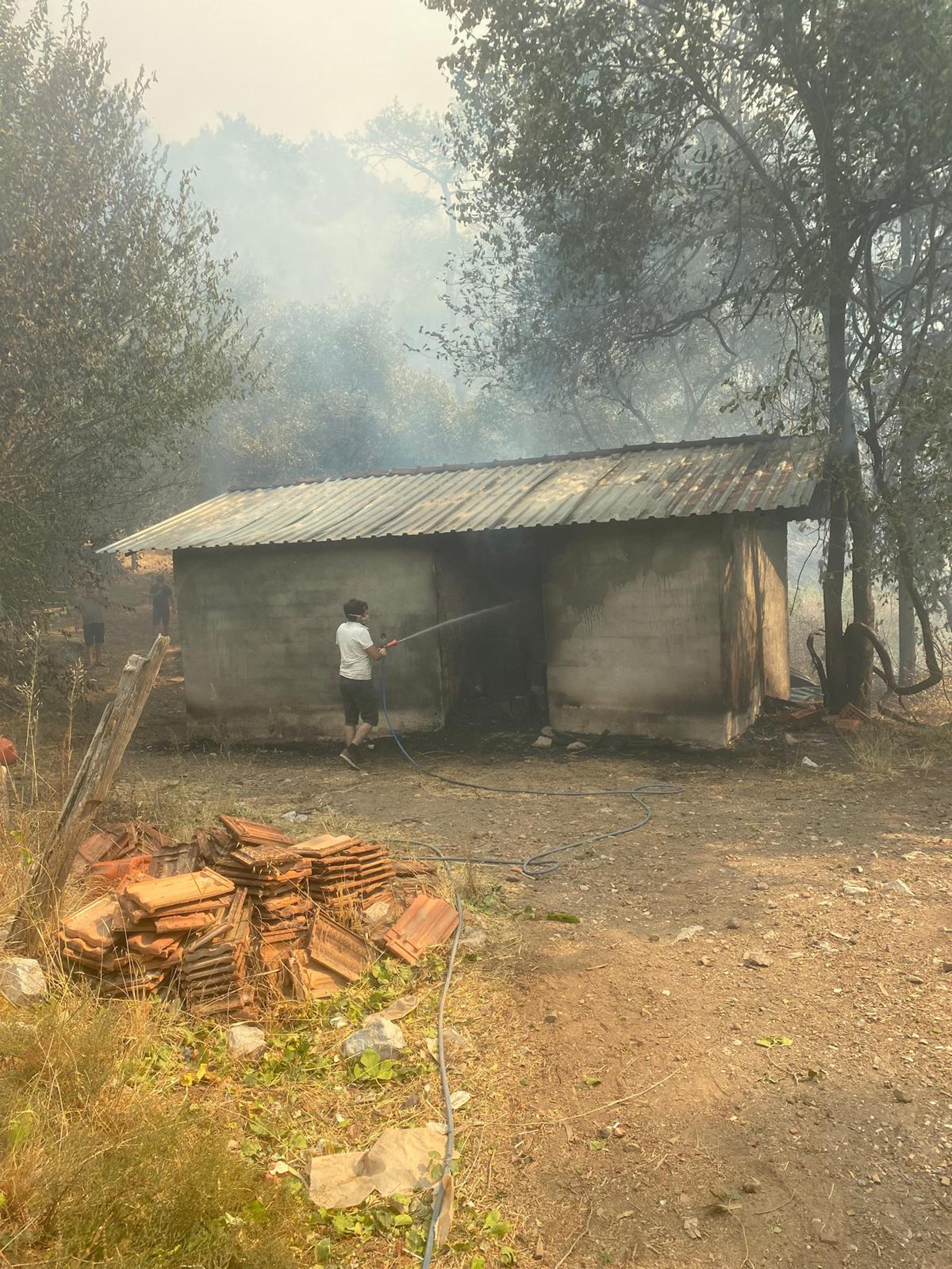 Muğla Köyceğiz ve Milas'ta orman yangını