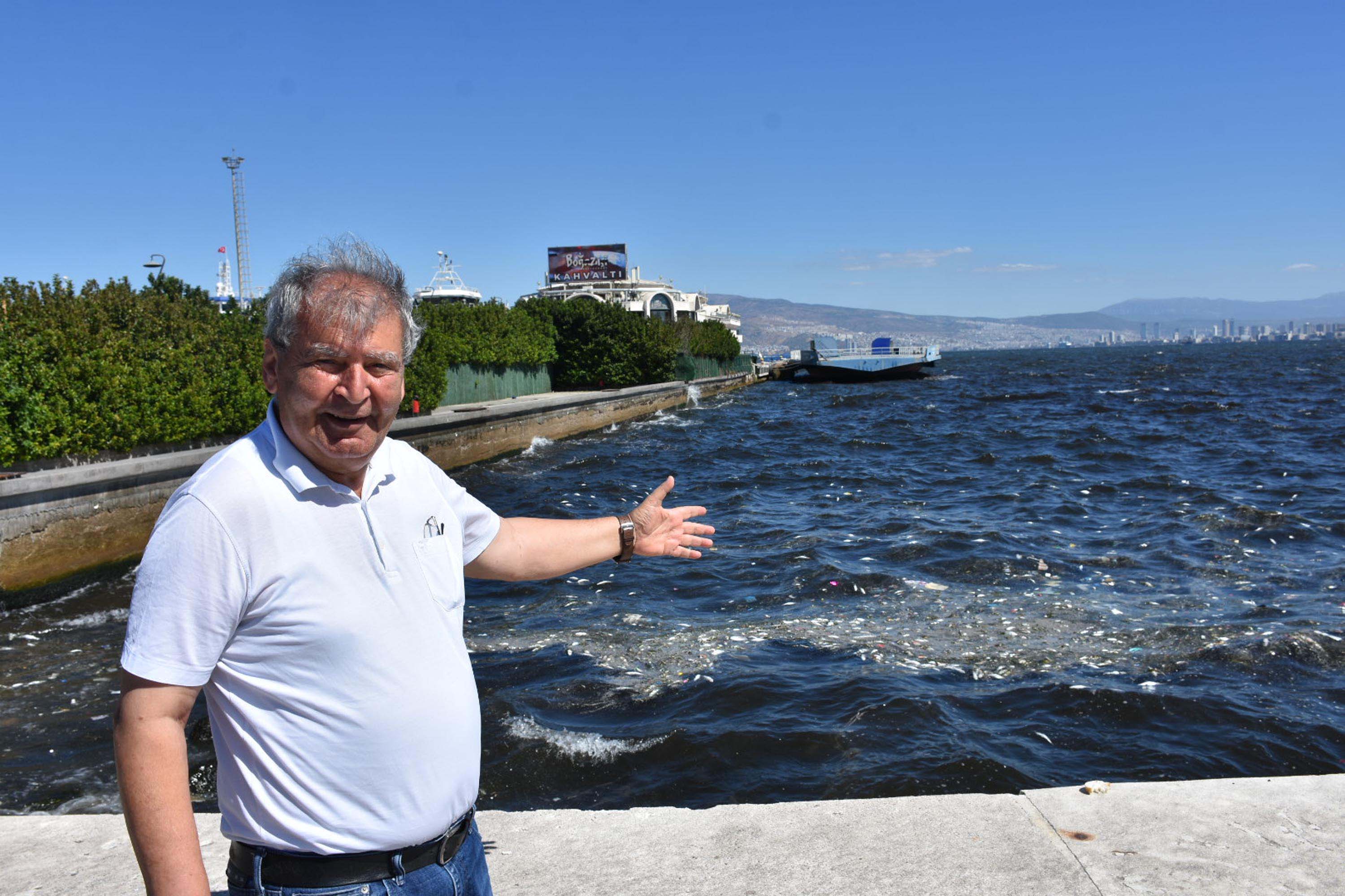 İzmir Körfezi'nde balık ölümleri devam ediyor