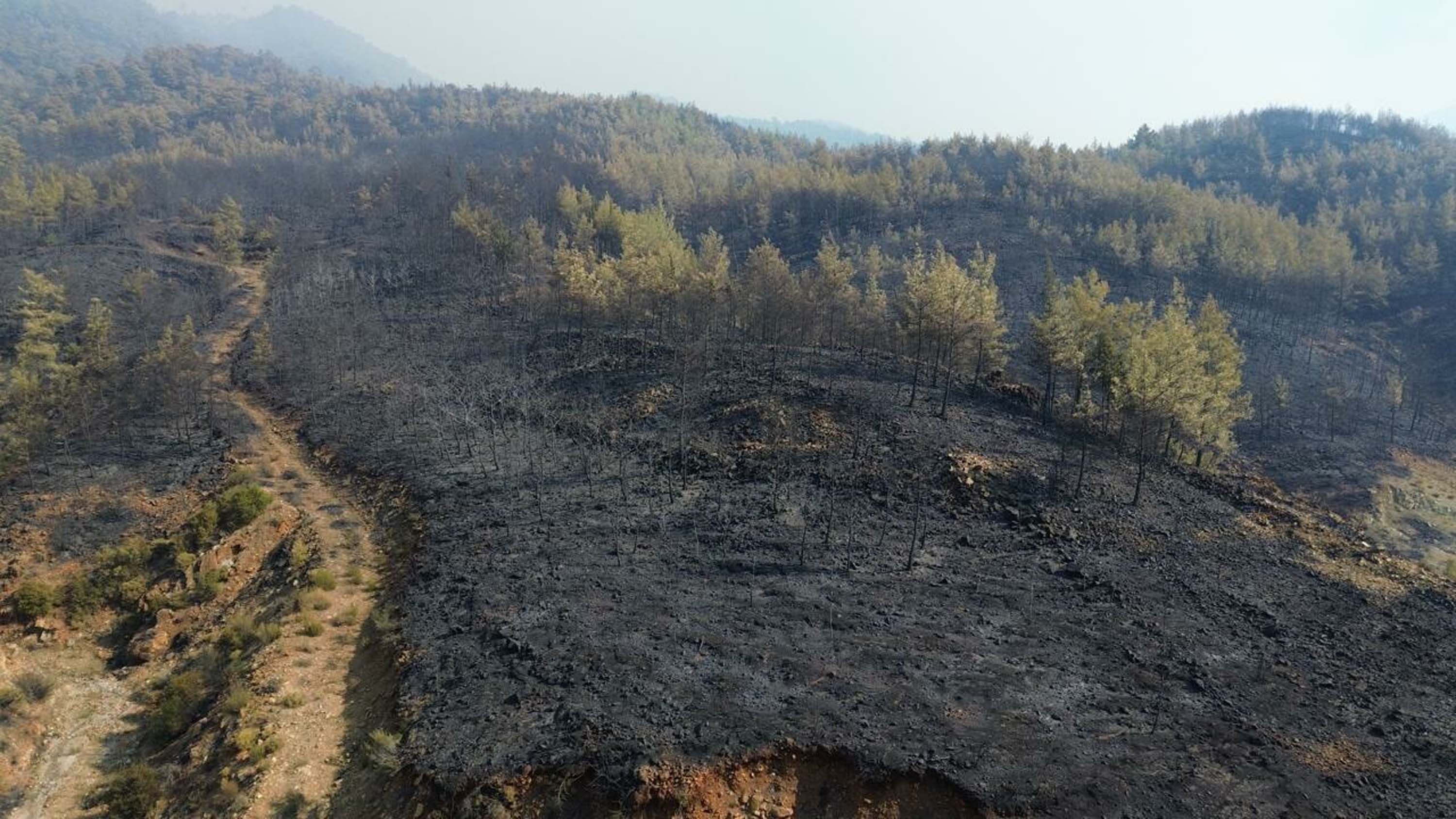 Muğla yangınlarında kahreden görüntüler!