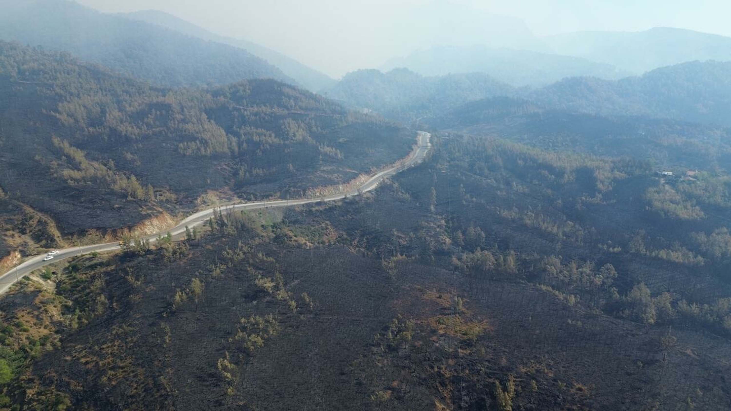 Muğla yangınlarında kahreden görüntüler!