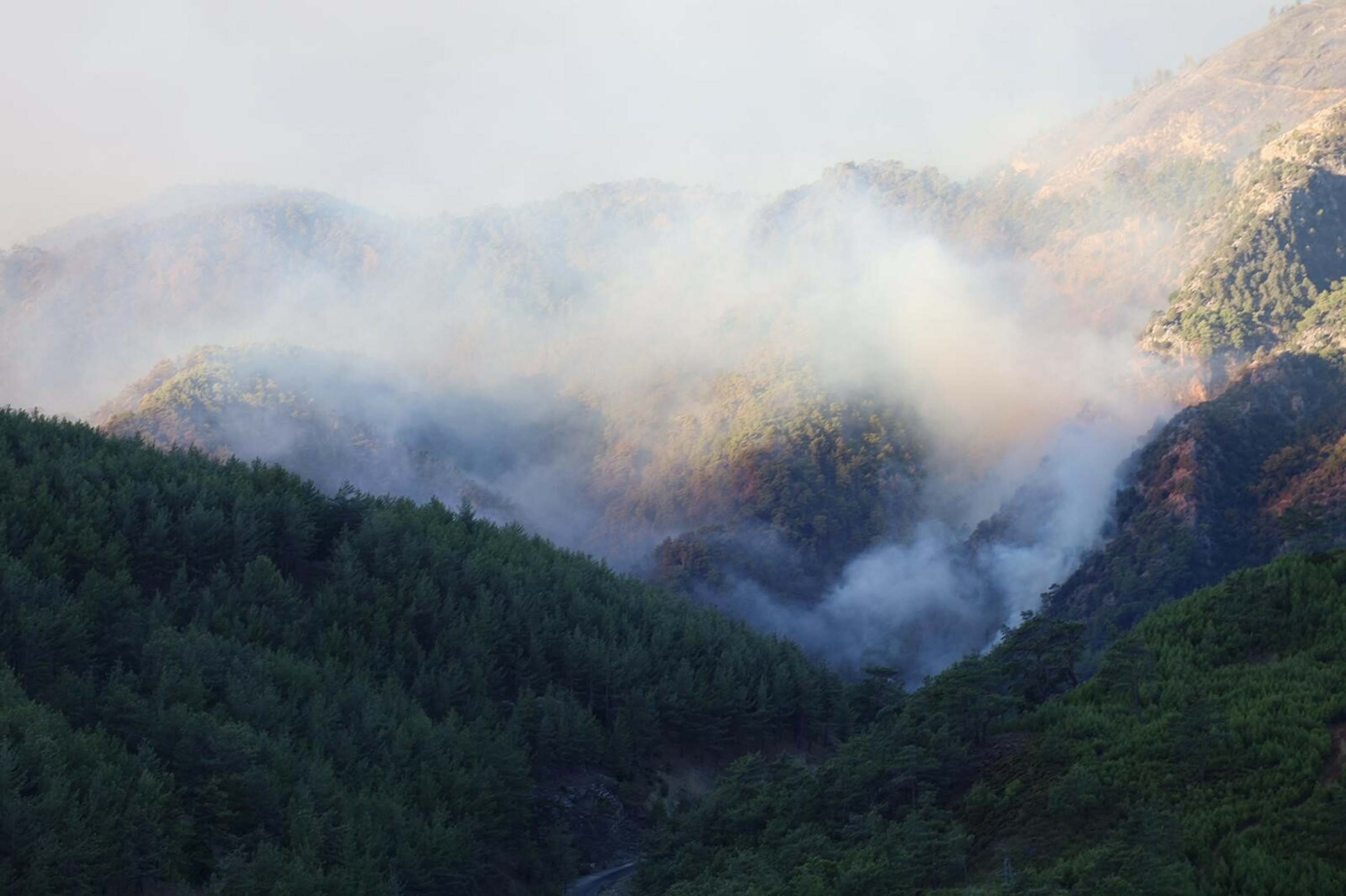 Muğla yangınlarında kahreden görüntüler!