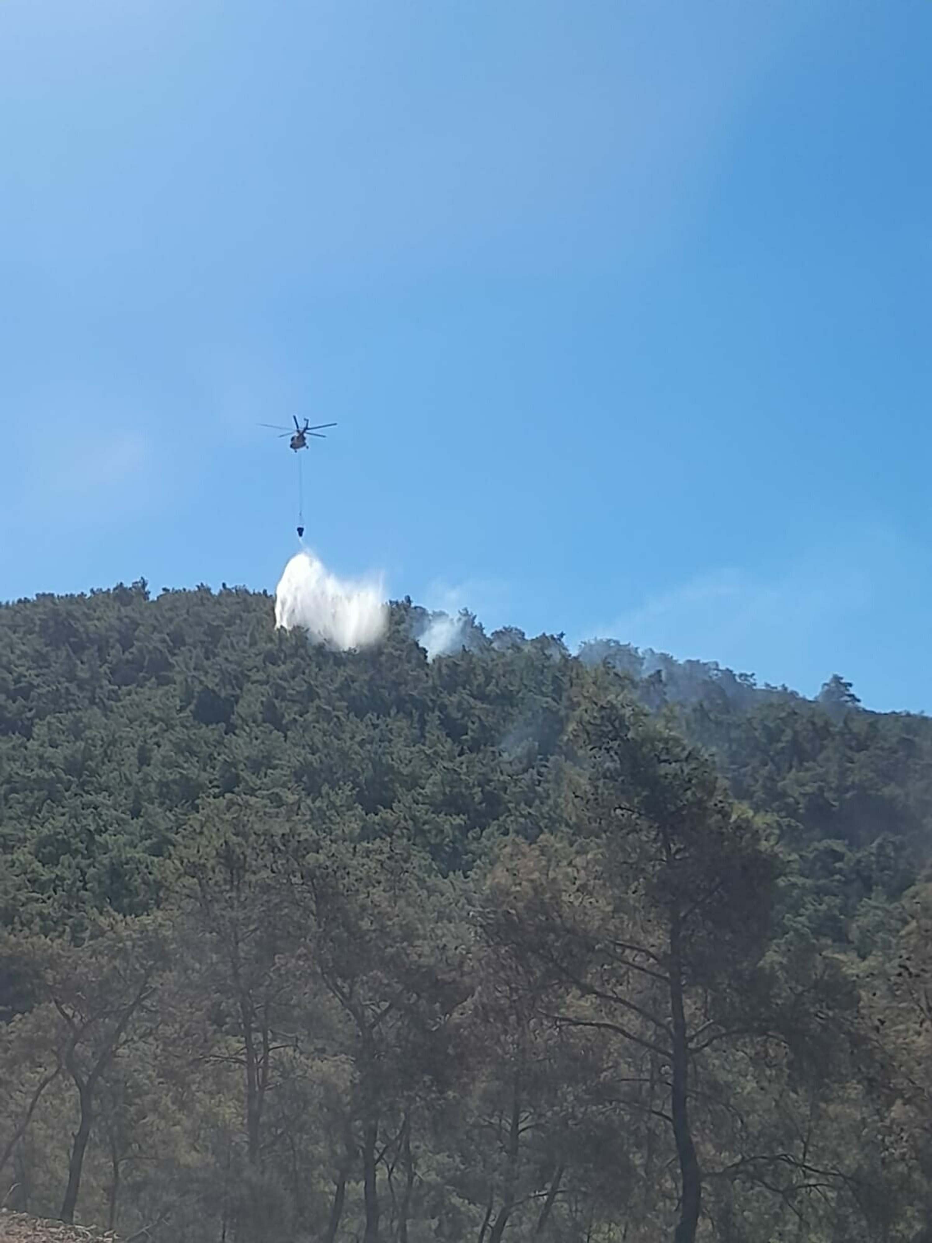 Muğla yangınlarında kahreden görüntüler!