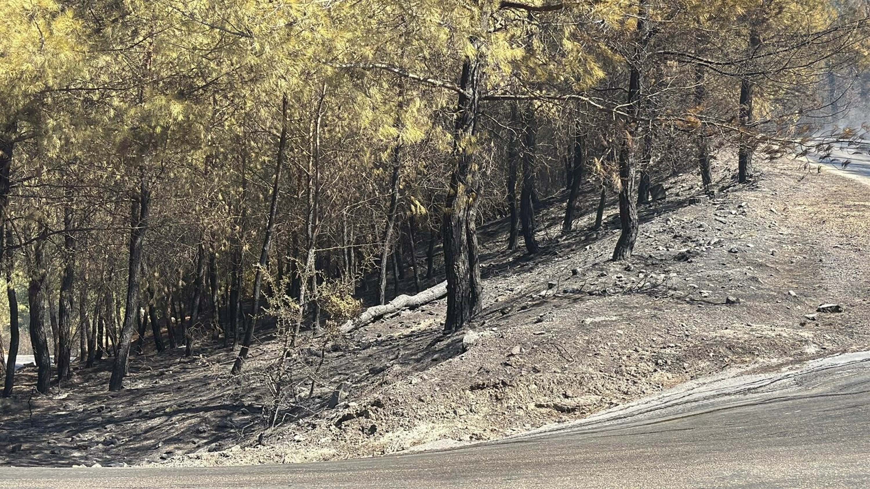 Muğla yangınlarında kahreden görüntüler!