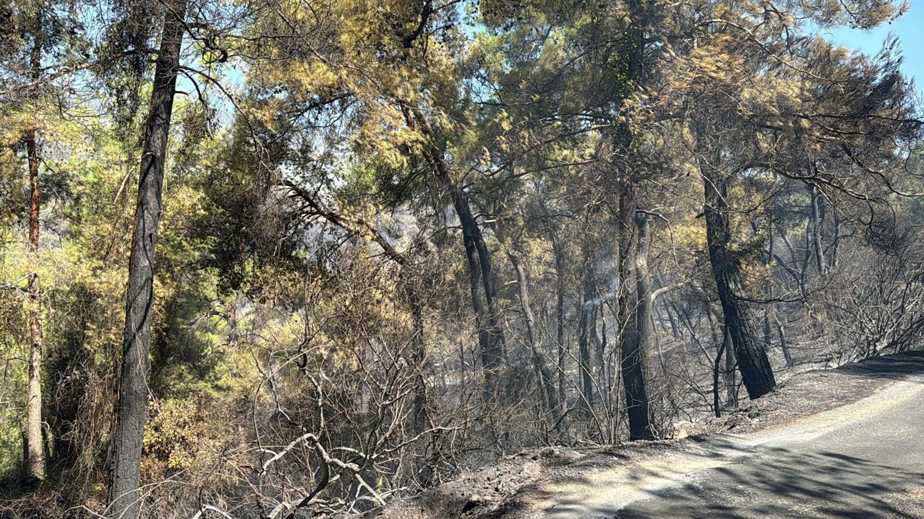 Muğla yangınlarında kahreden görüntüler!