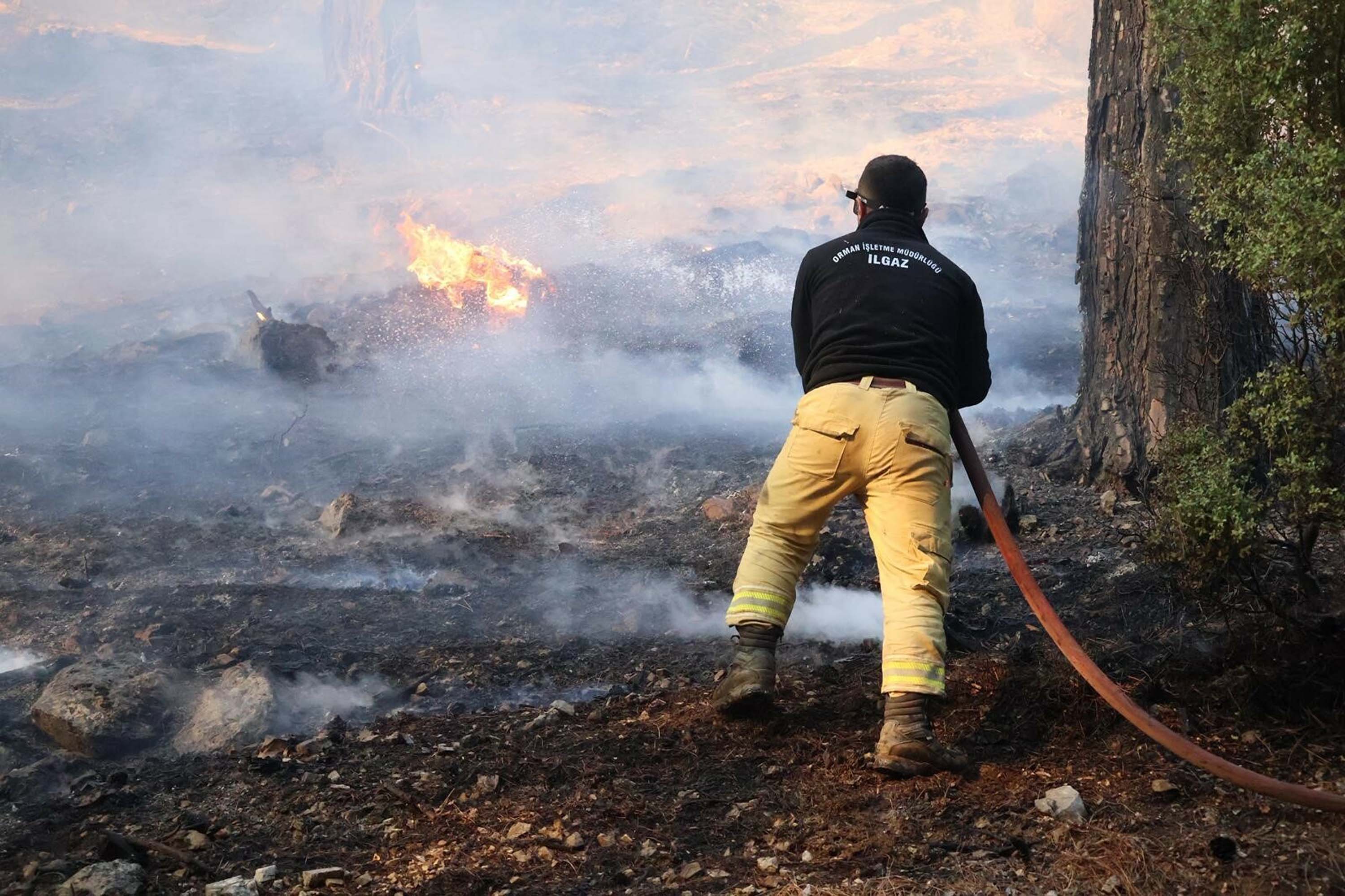 Muğla yangınlarında kahreden görüntüler!
