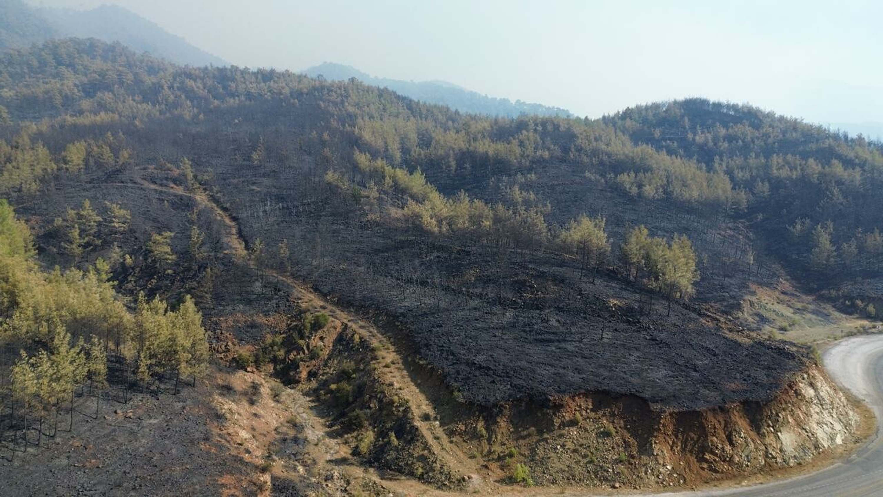 Muğla yangınlarında kahreden görüntüler!