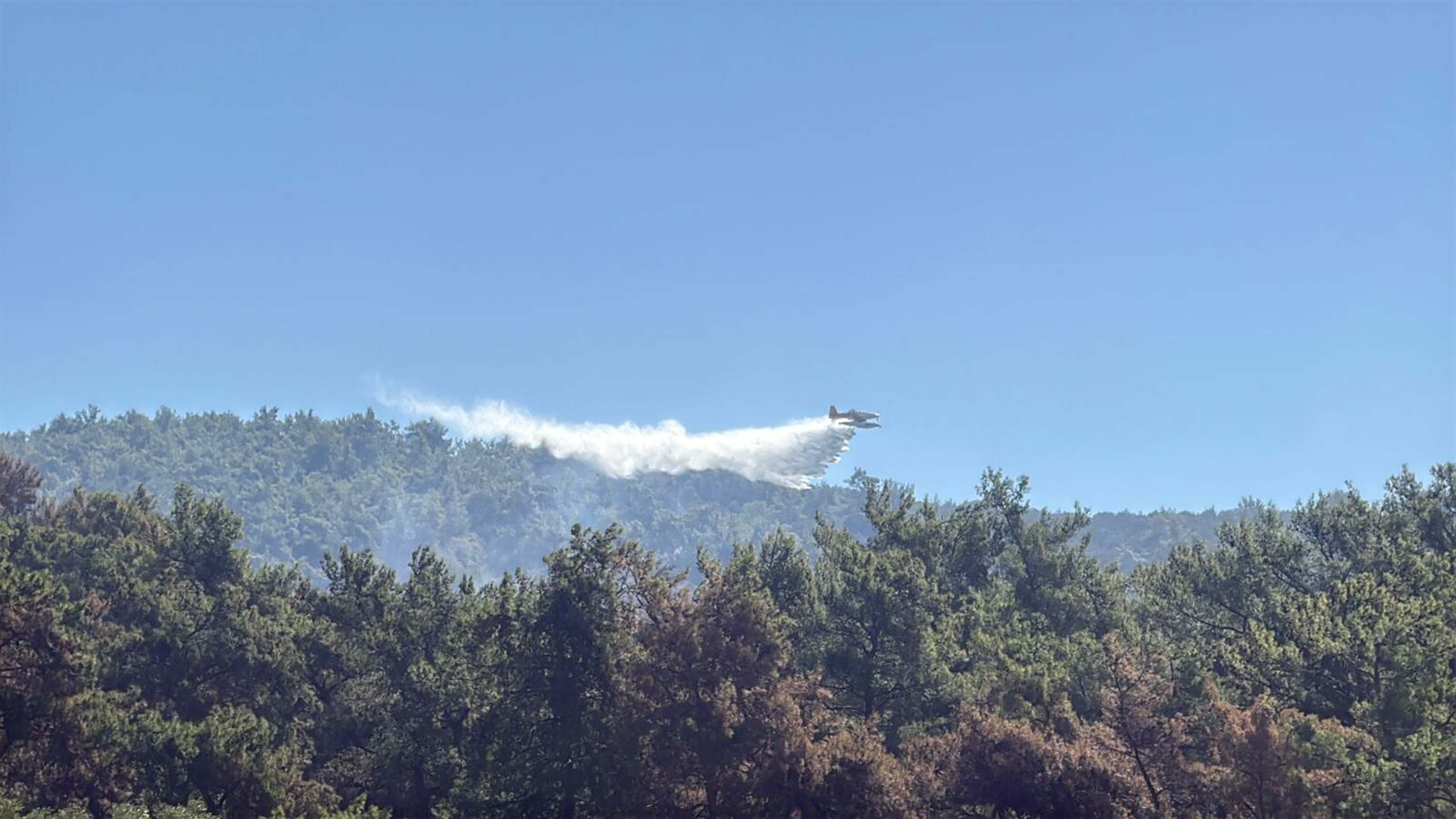 Muğla yangınlarında kahreden görüntüler!