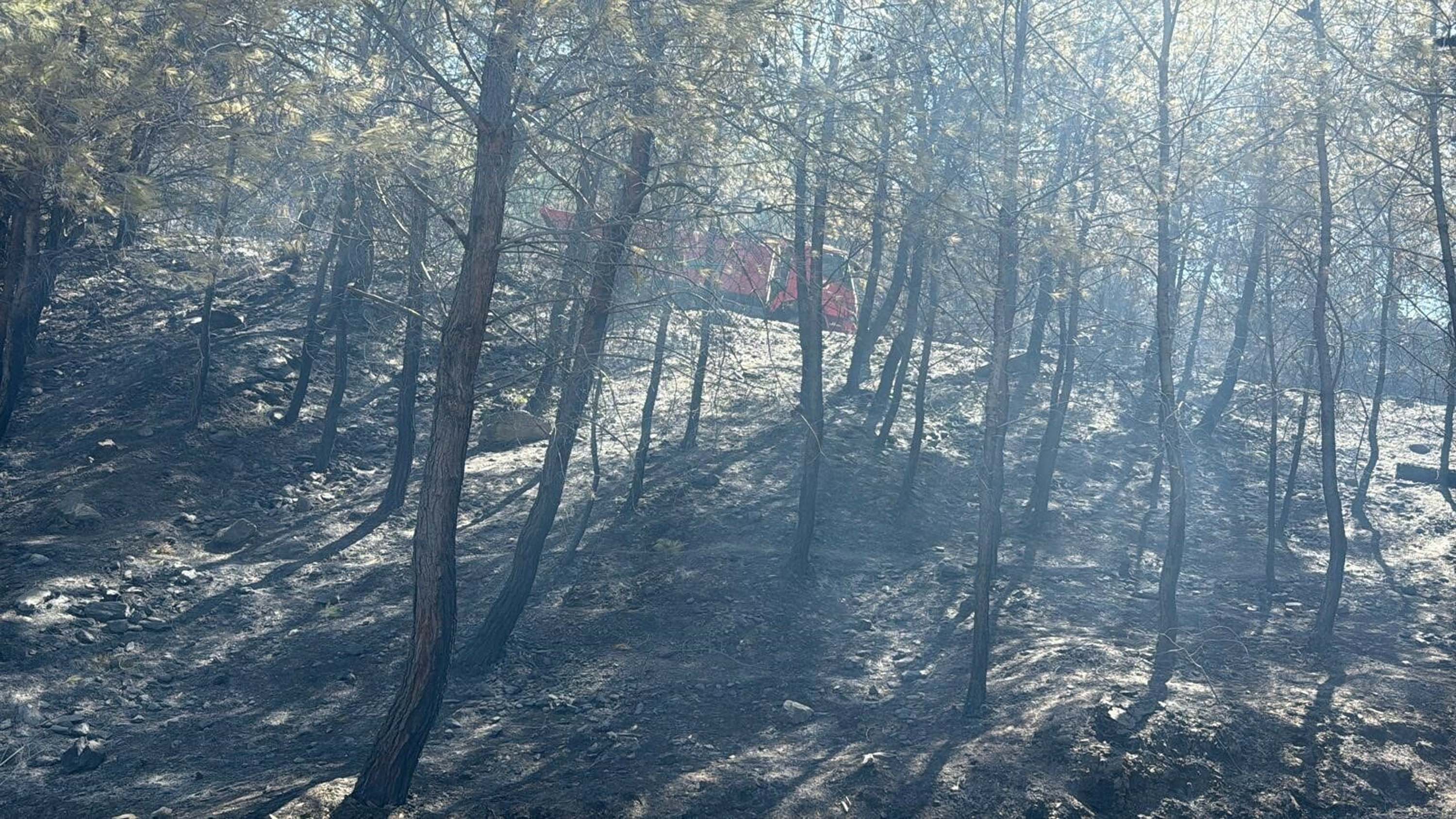 Muğla yangınlarında kahreden görüntüler!