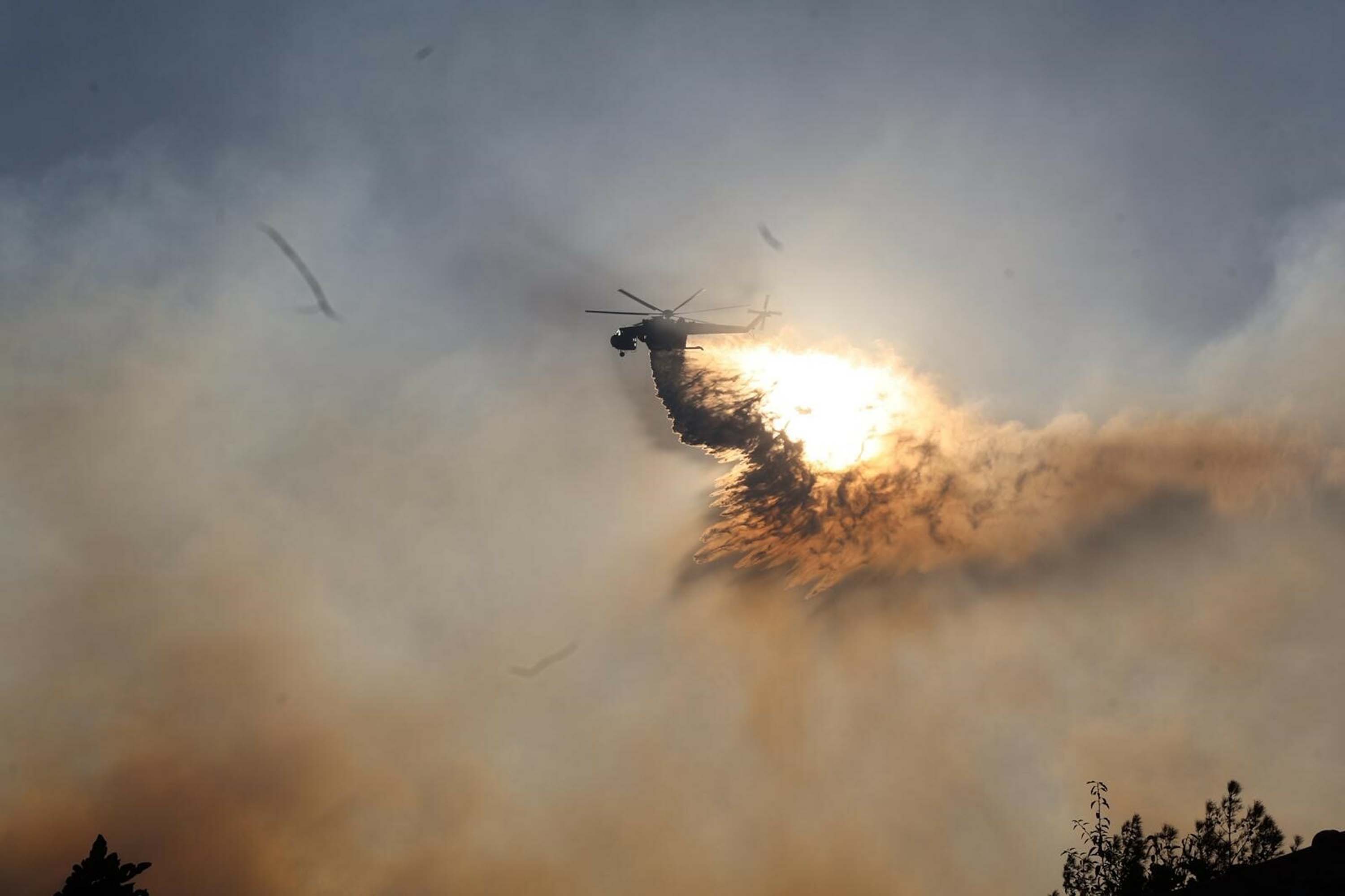 Muğla yangınlarında kahreden görüntüler!