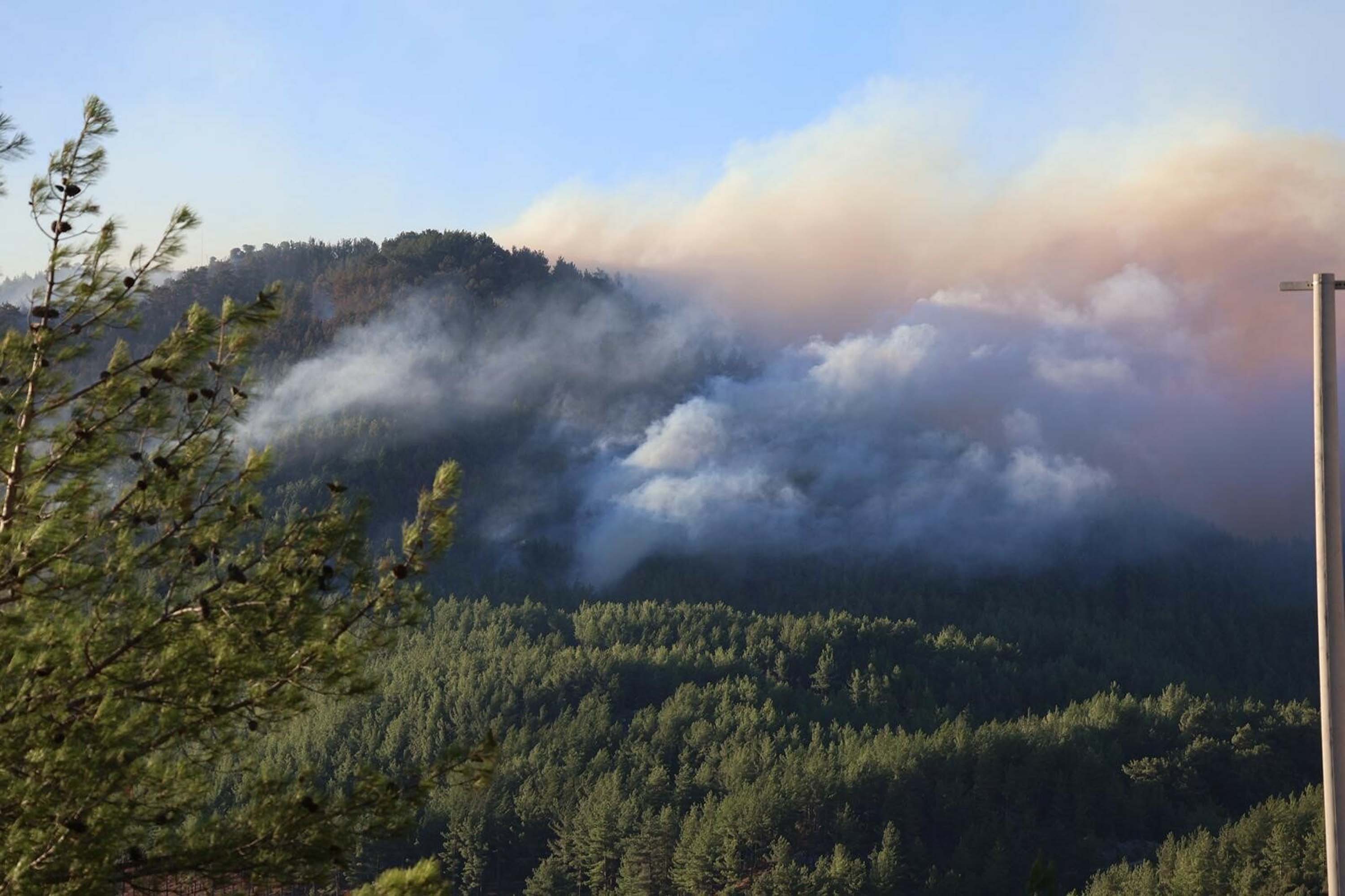 Muğla yangınlarında kahreden görüntüler!