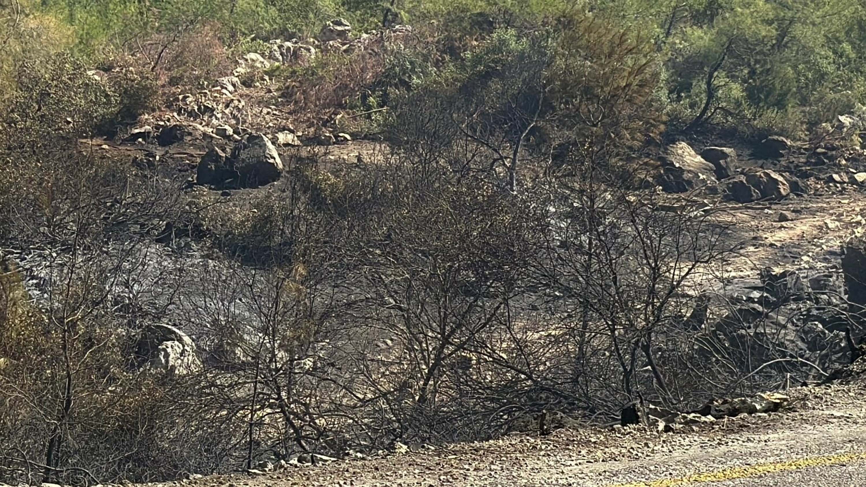 Muğla yangınlarında kahreden görüntüler!