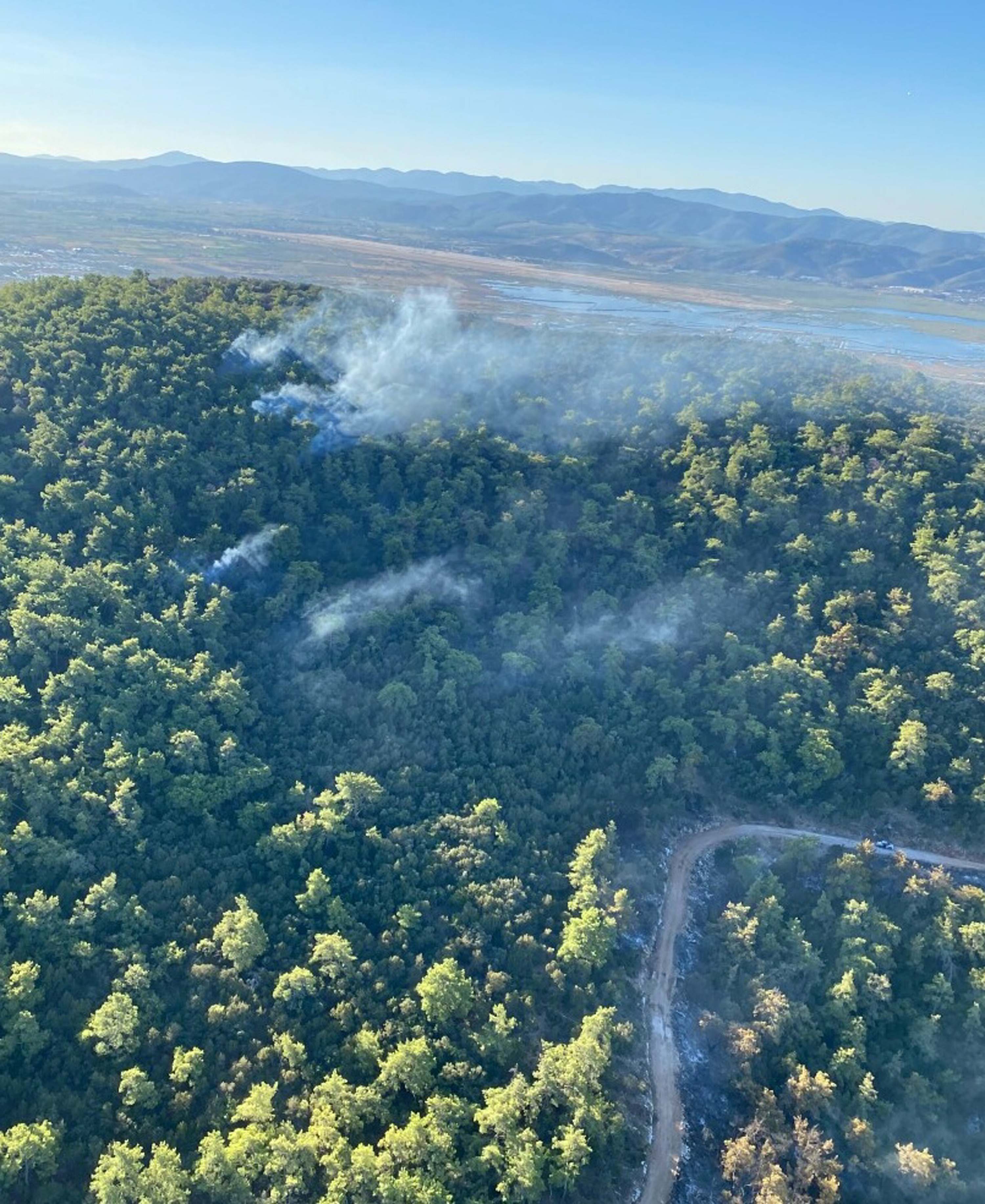 Muğla yangınlarında kahreden görüntüler!