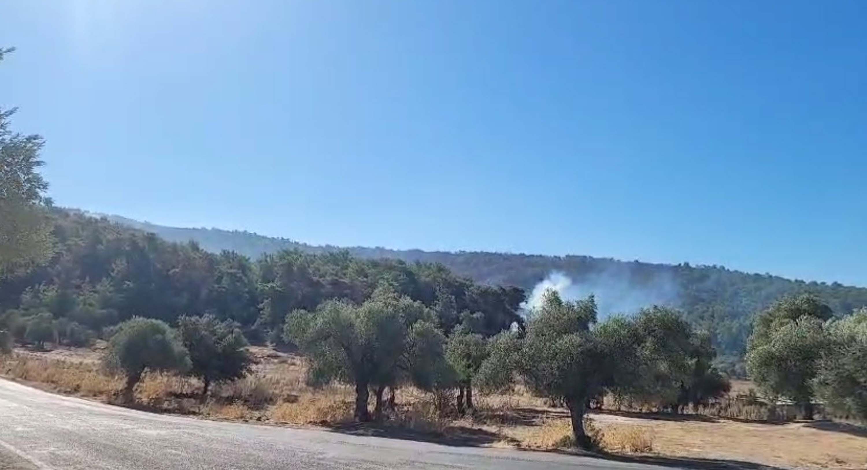 Muğla yangınlarında kahreden görüntüler!