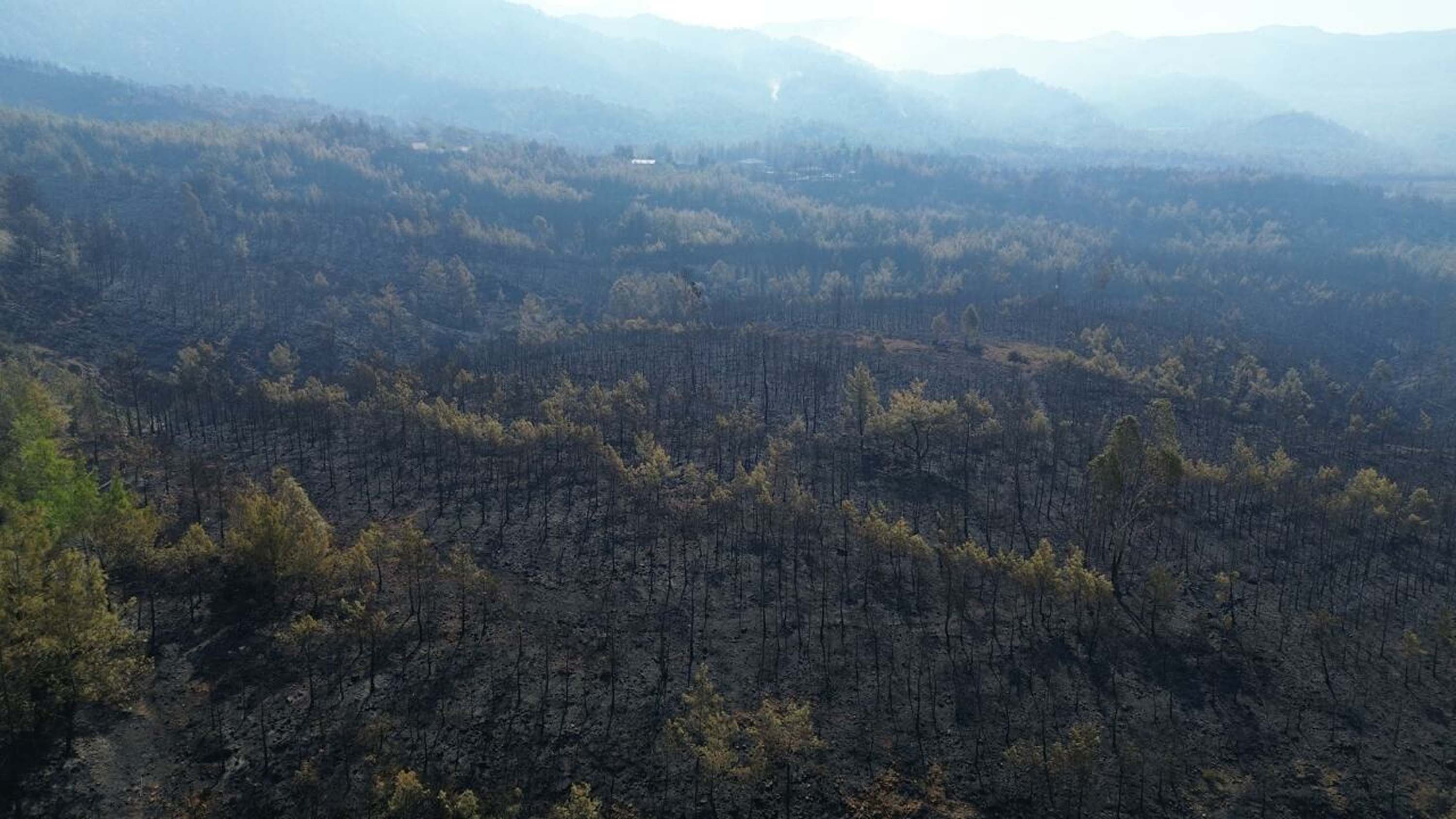 Muğla yangınlarında kahreden görüntüler!