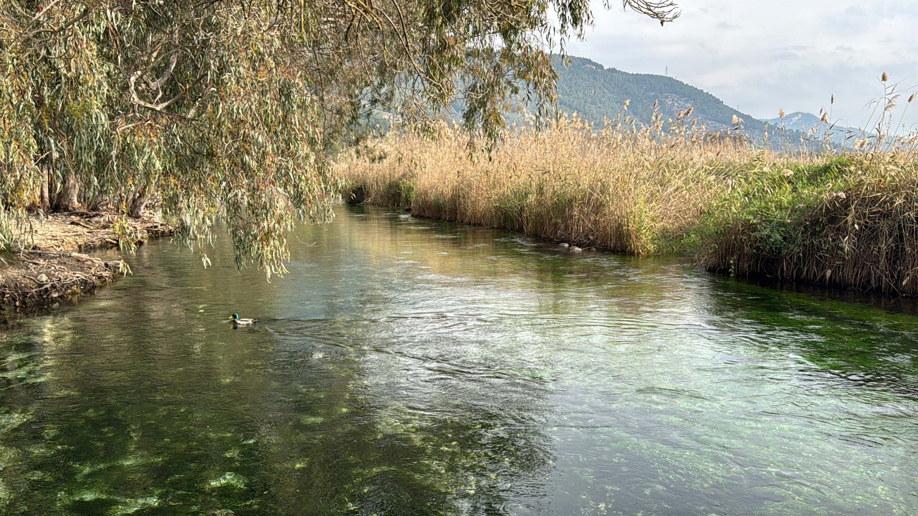 NASA'nın paylaştığı Akyaka, BM'nin 'En iyi turizm köyleri' listesinde