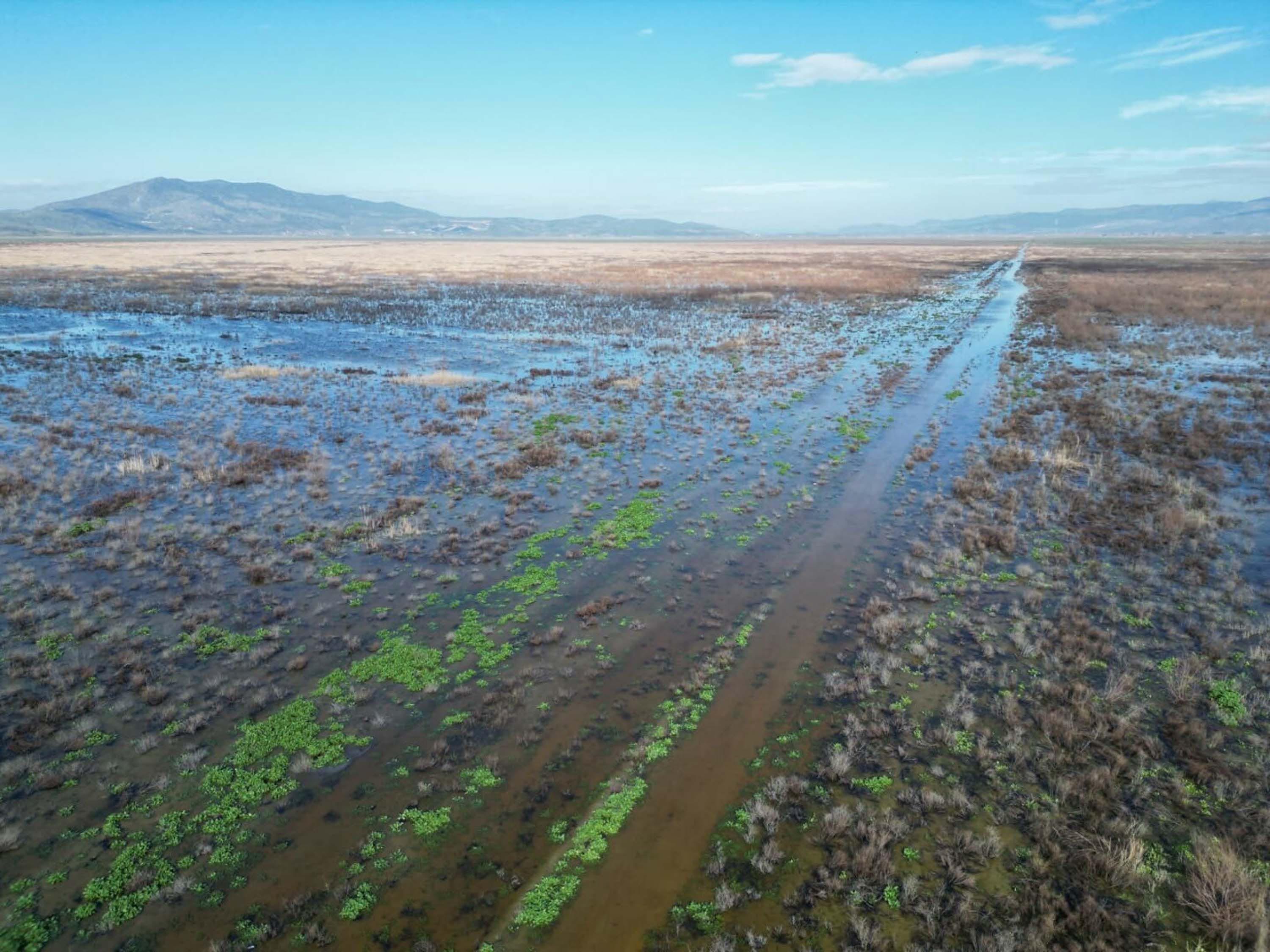 Kuruyan Marmara Gölü'nden sevindiren görüntüler