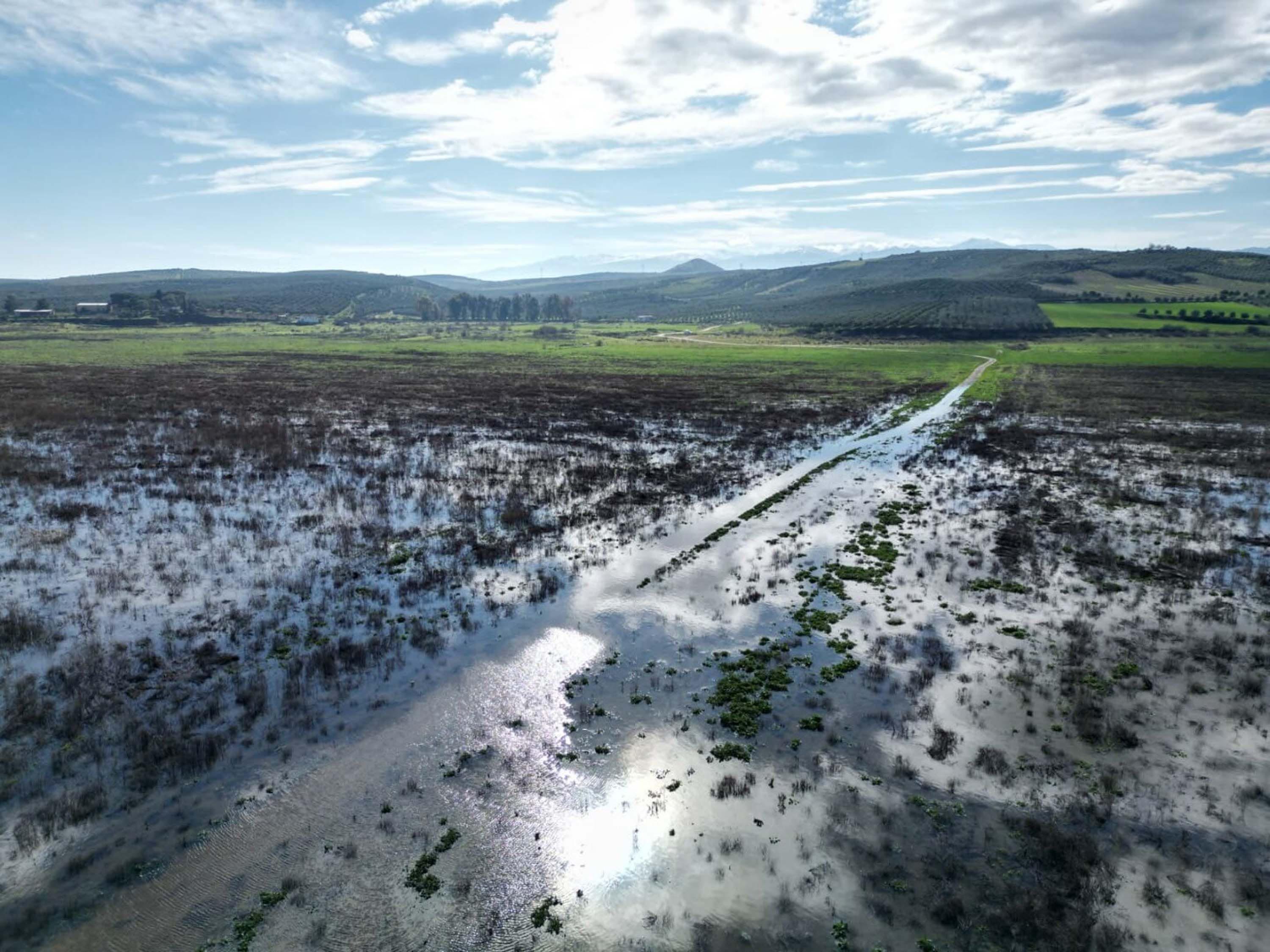 Kuruyan Marmara Gölü'nden sevindiren görüntüler