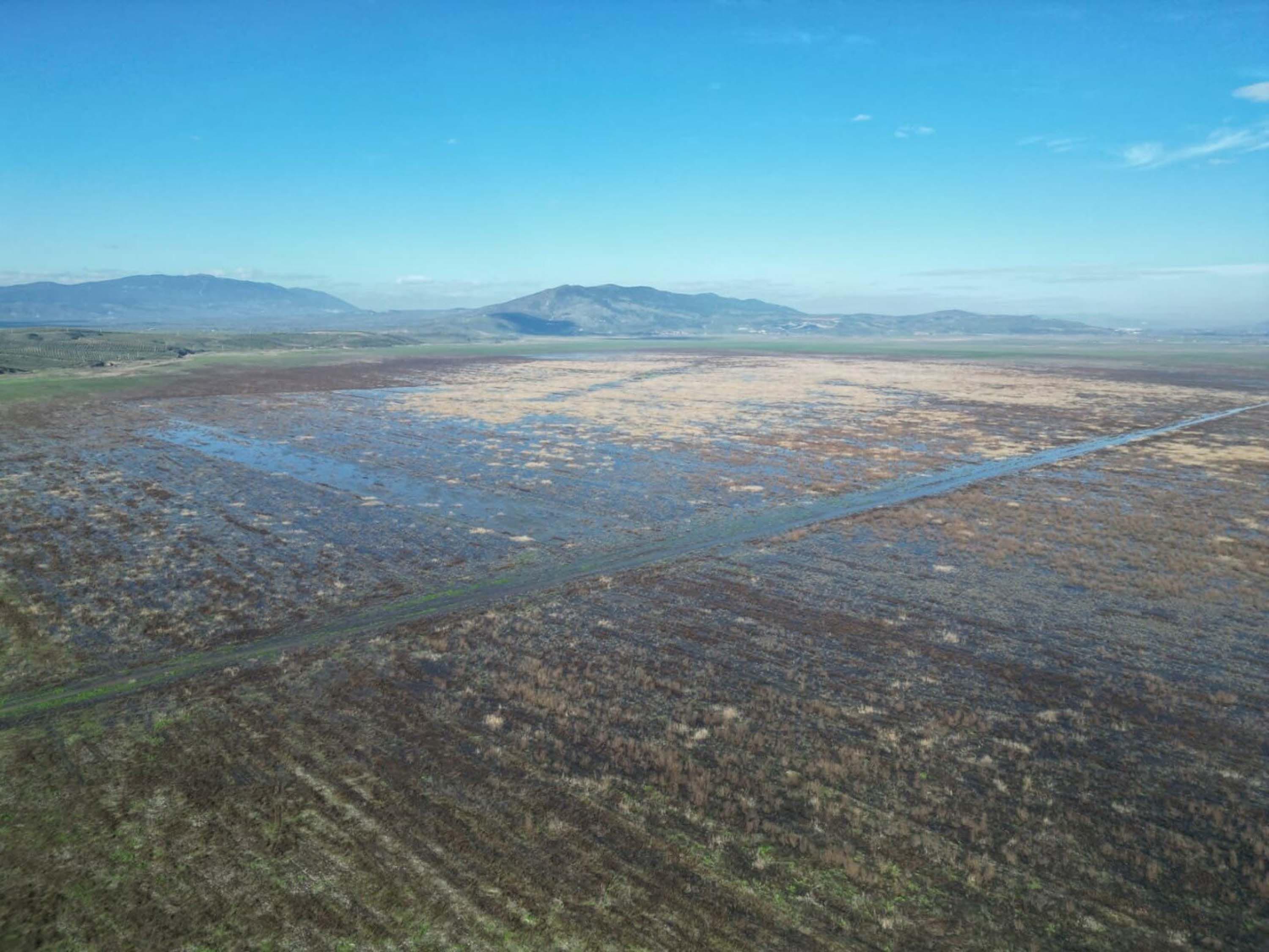 Kuruyan Marmara Gölü'nden sevindiren görüntüler