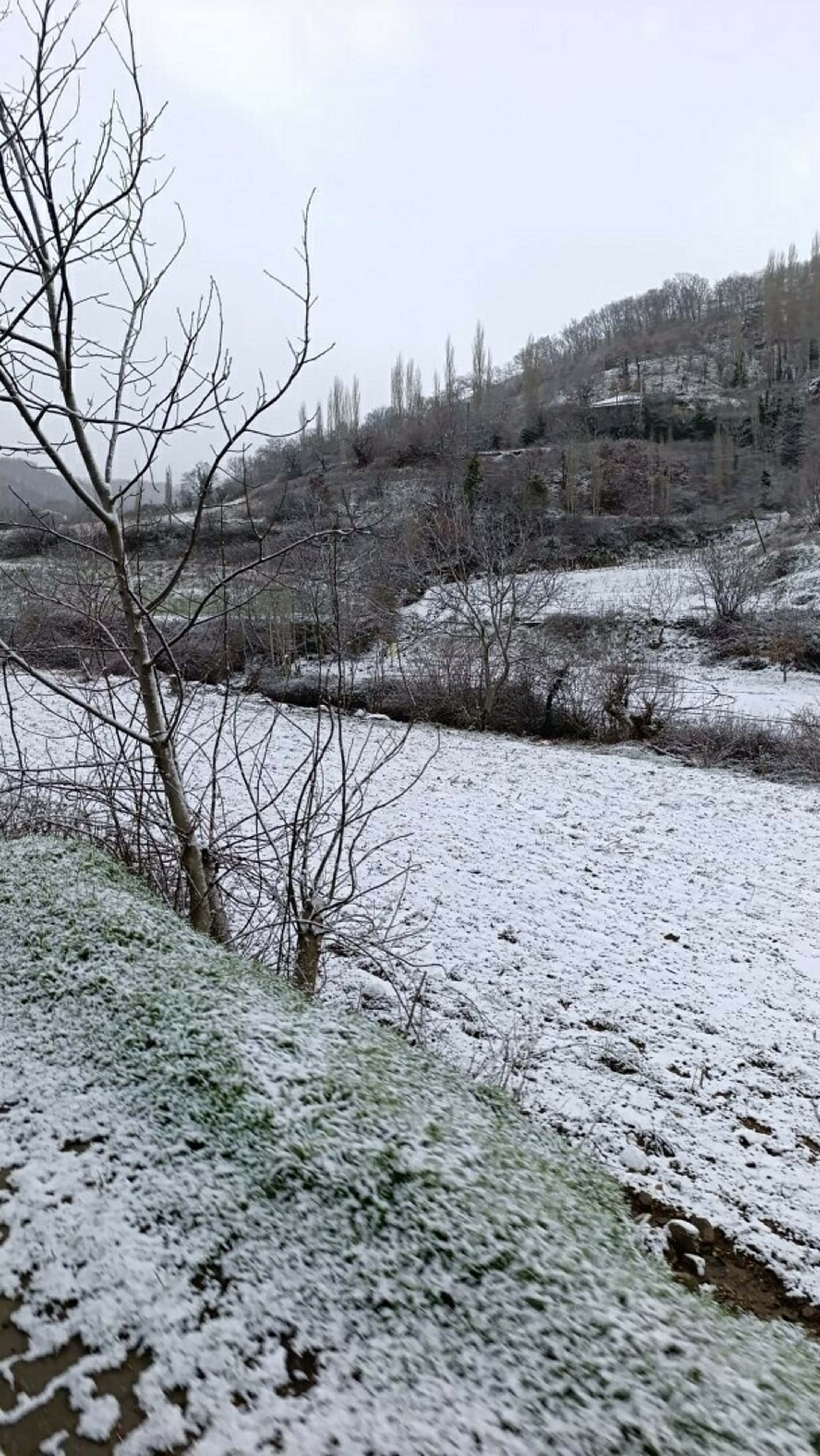 İzmir'in yüksek kesimleri beyaza büründü