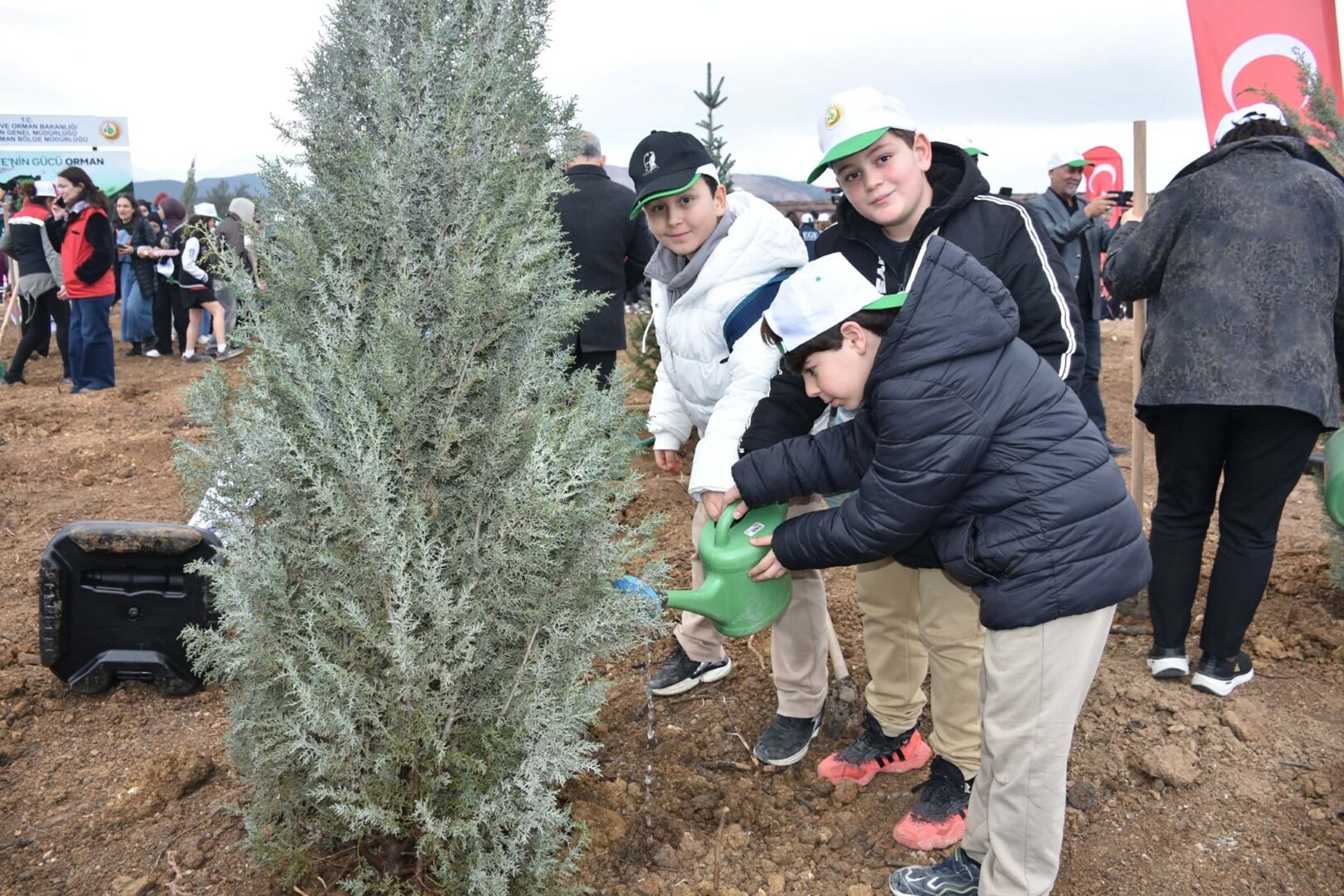 İzmir'de yanan alanda 15 bin fidan toprakla buluşturuldu