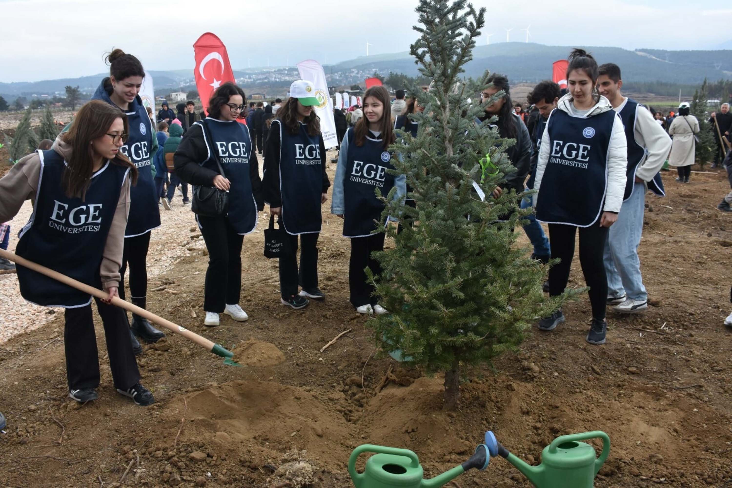 İzmir'de yanan alanda 15 bin fidan toprakla buluşturuldu