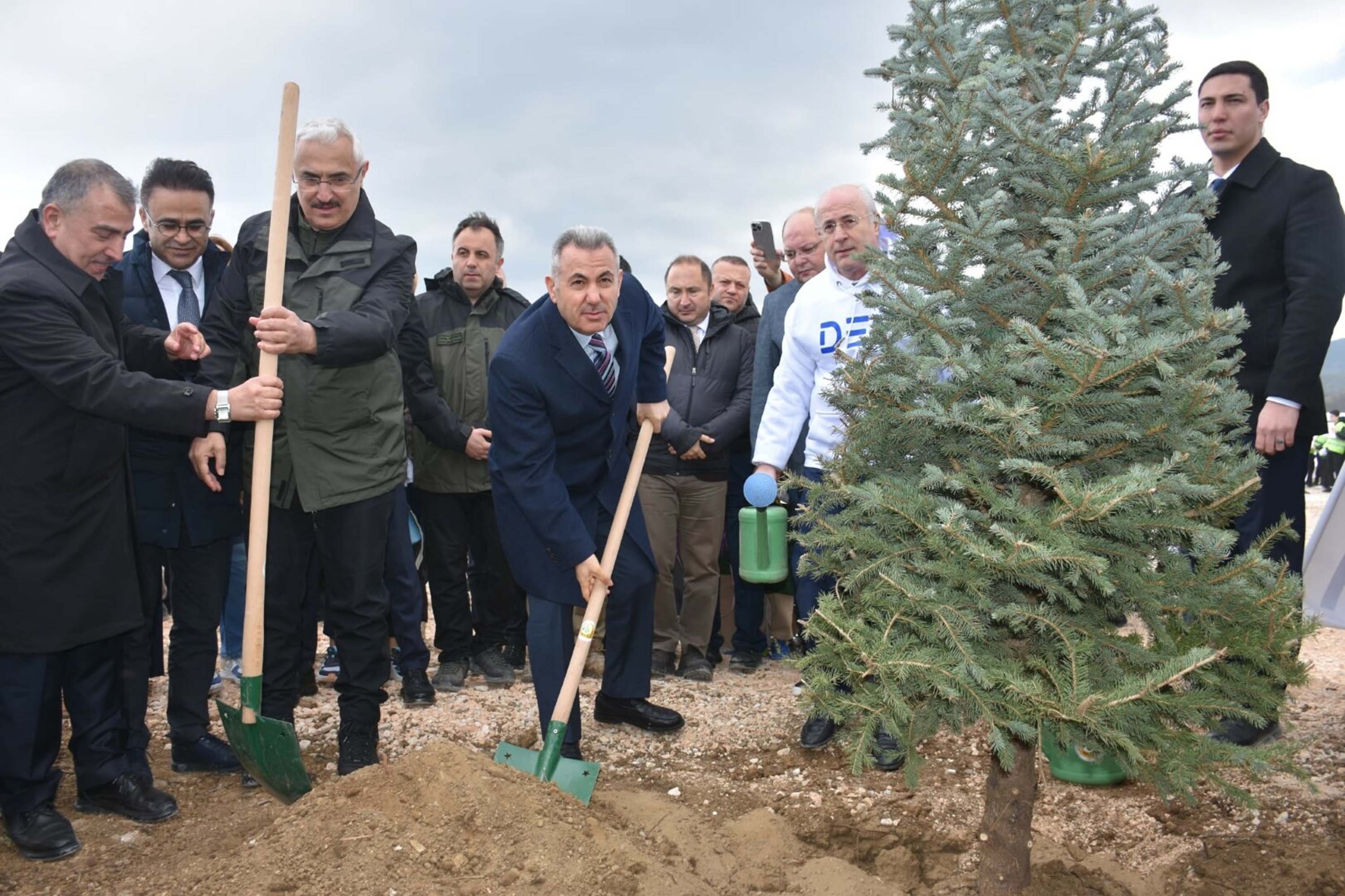 İzmir'de yanan alanda 15 bin fidan toprakla buluşturuldu