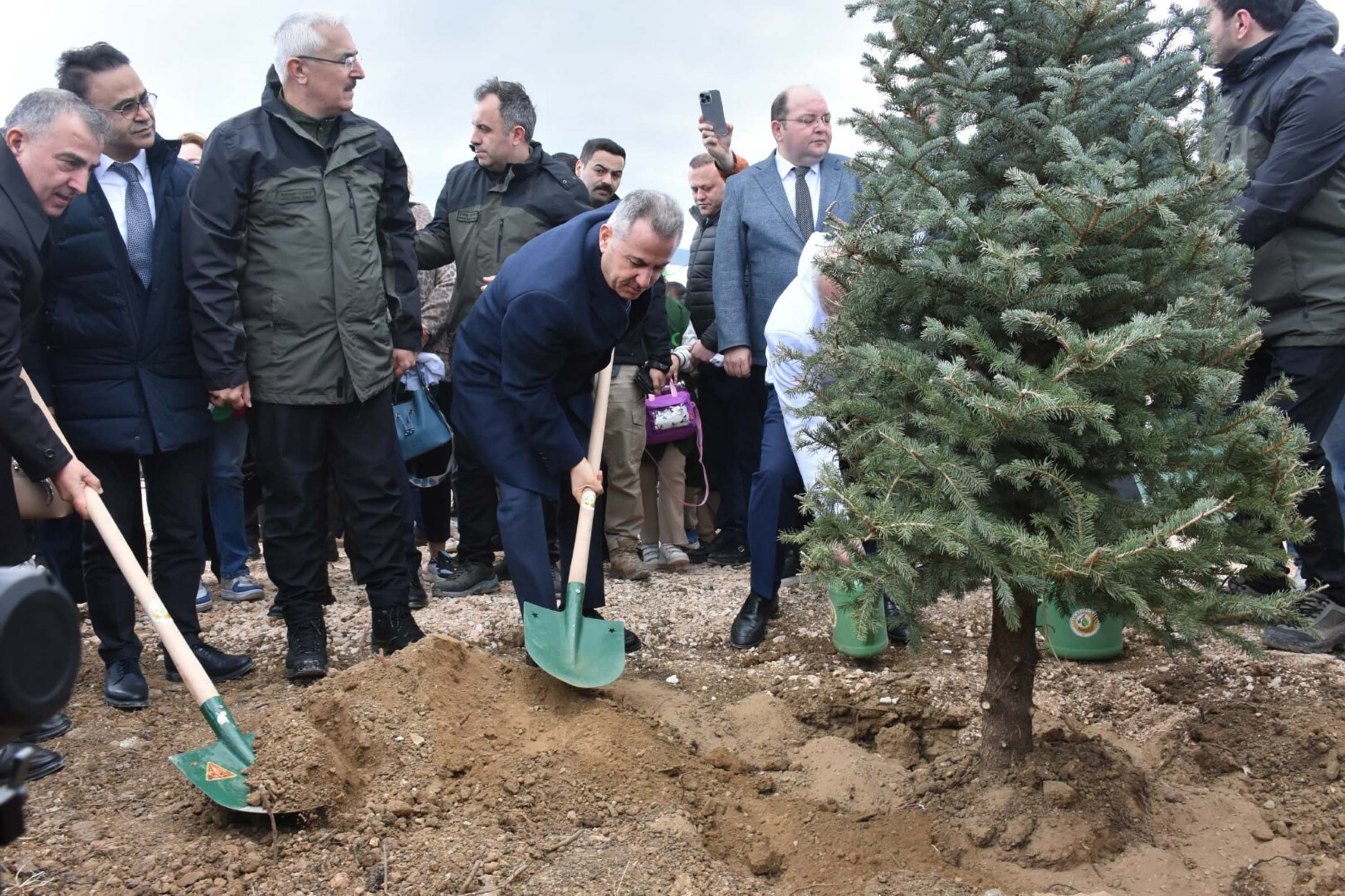 İzmir'de yanan alanda 15 bin fidan toprakla buluşturuldu