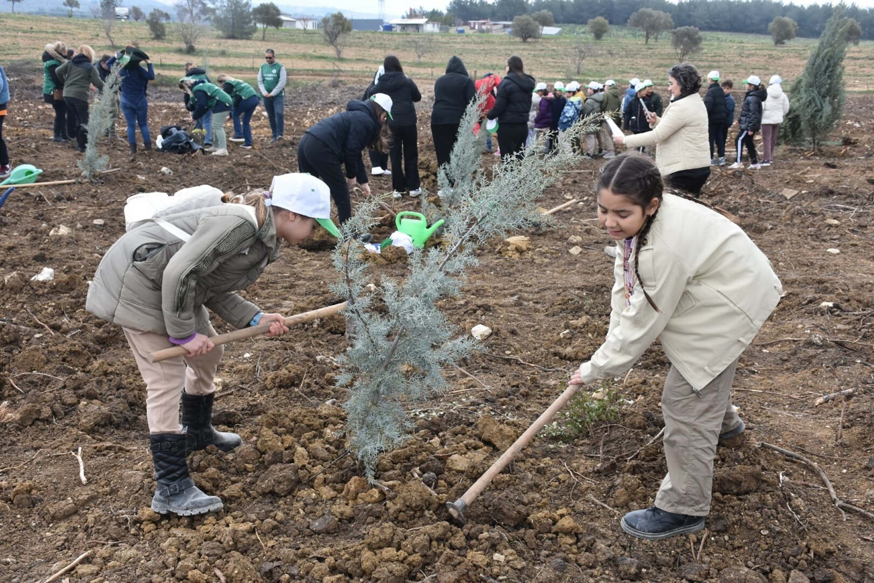 İzmir'de yanan alanda 15 bin fidan toprakla buluşturuldu