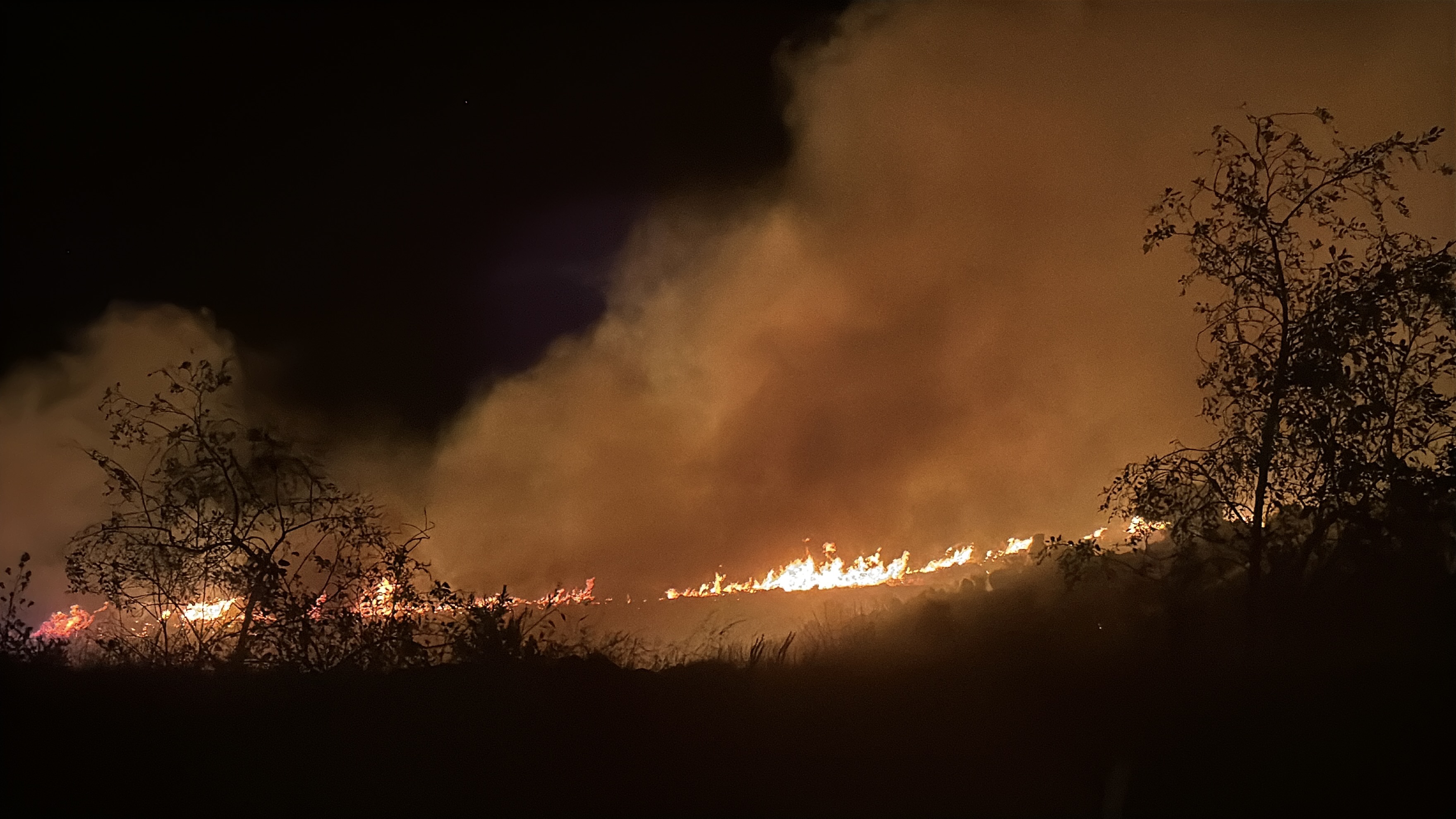 Bodrum’da maki ve otluk alanda korkutan yangın