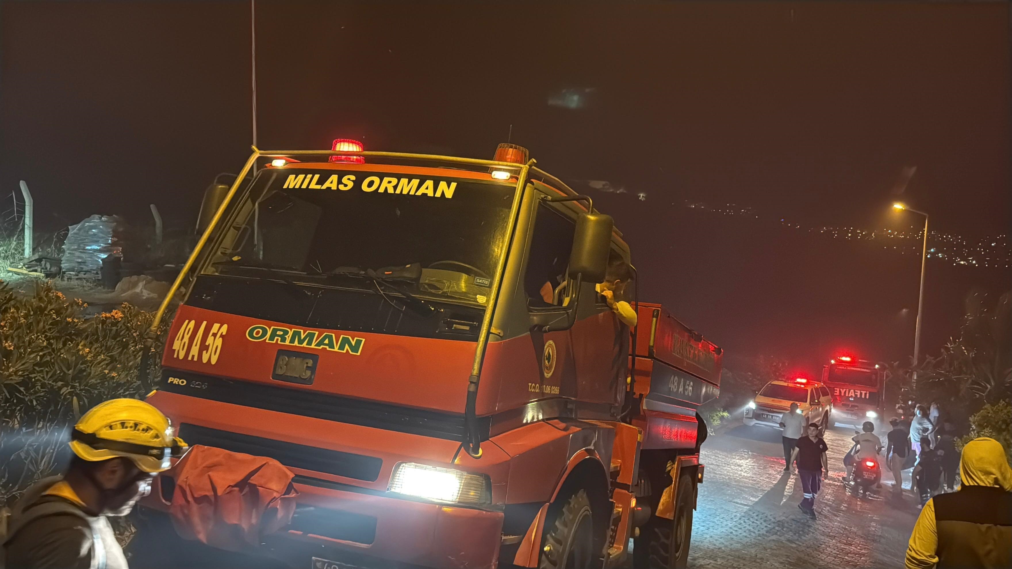 Bodrum’da maki ve otluk alanda korkutan yangın