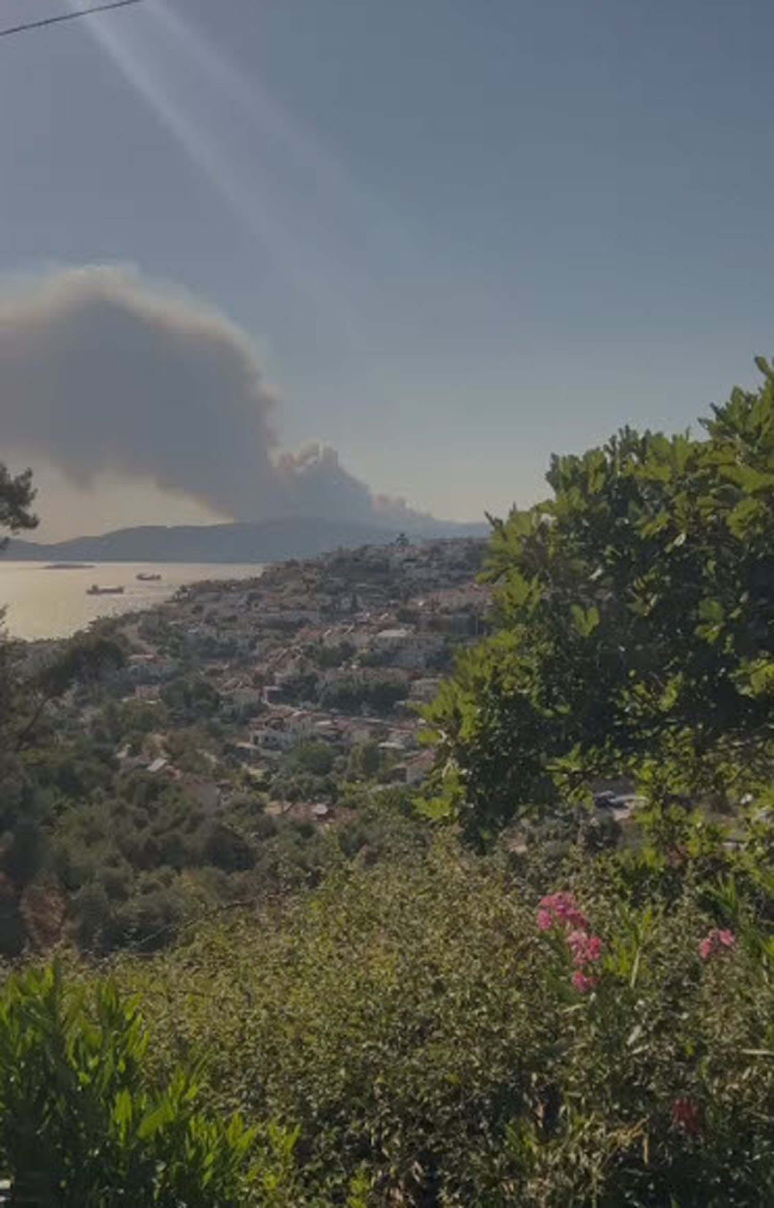 Milas'ta orman yangını