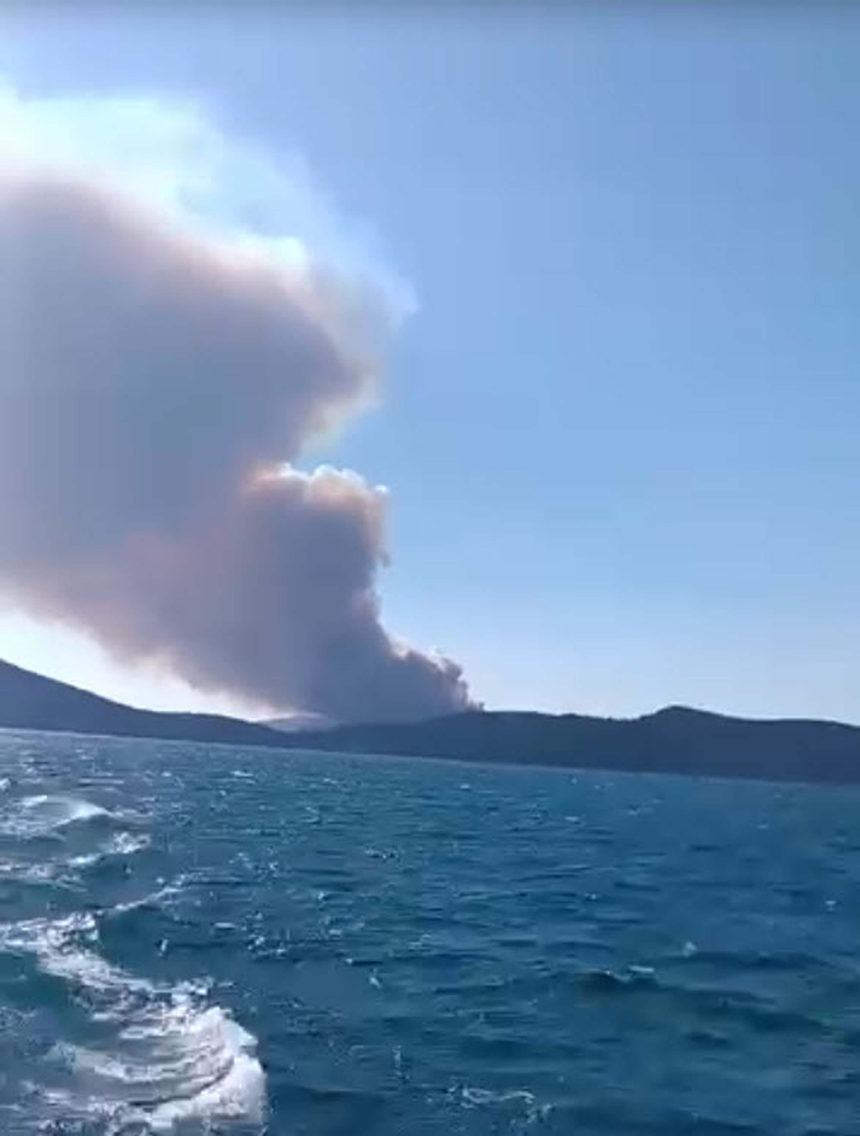 Milas'ta orman yangını