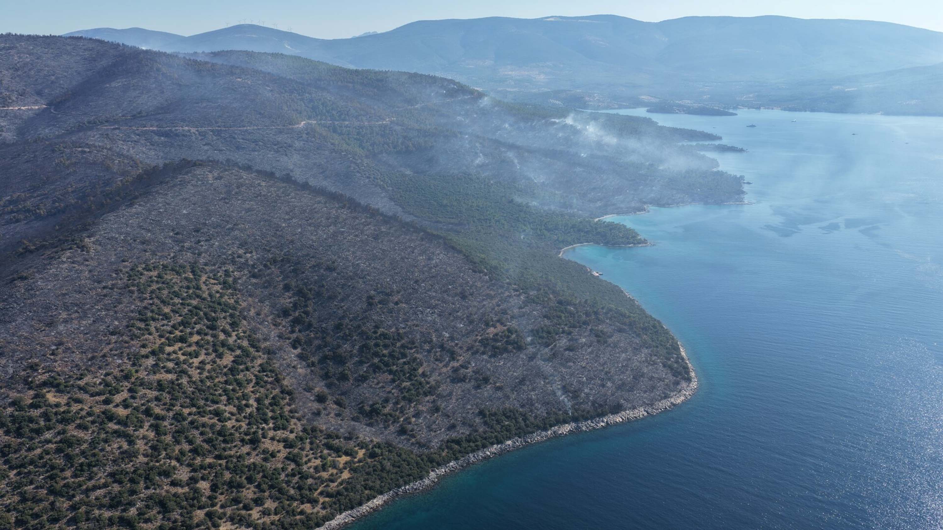Milas'ta orman yangını