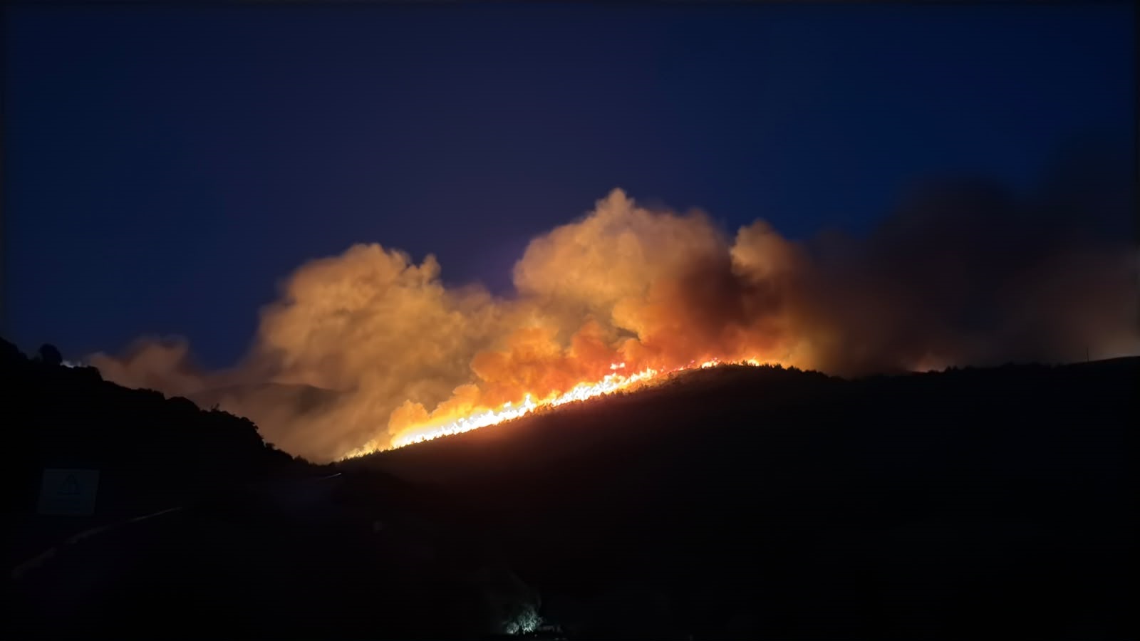 Milas'ta orman yangını