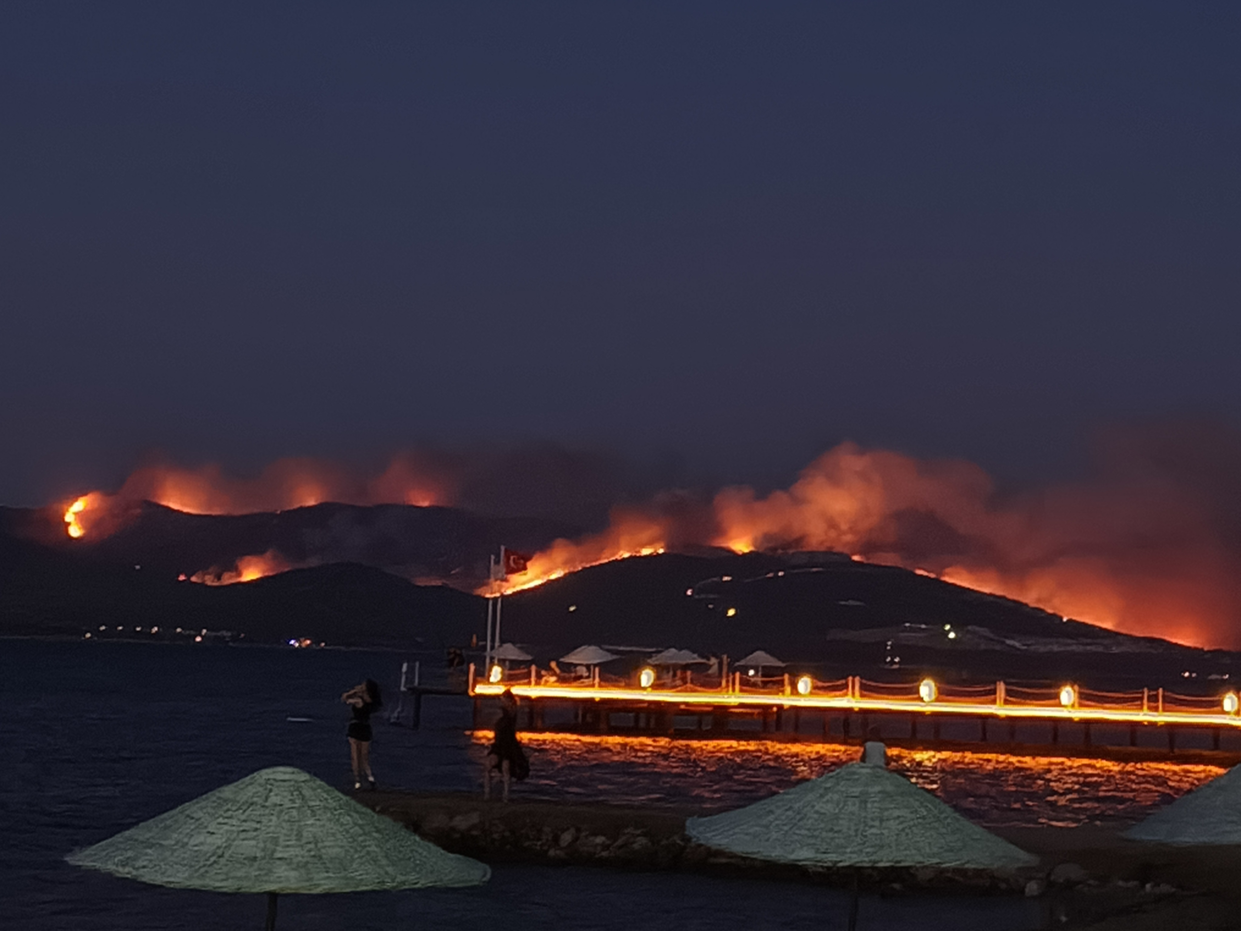 Milas'ta orman yangını