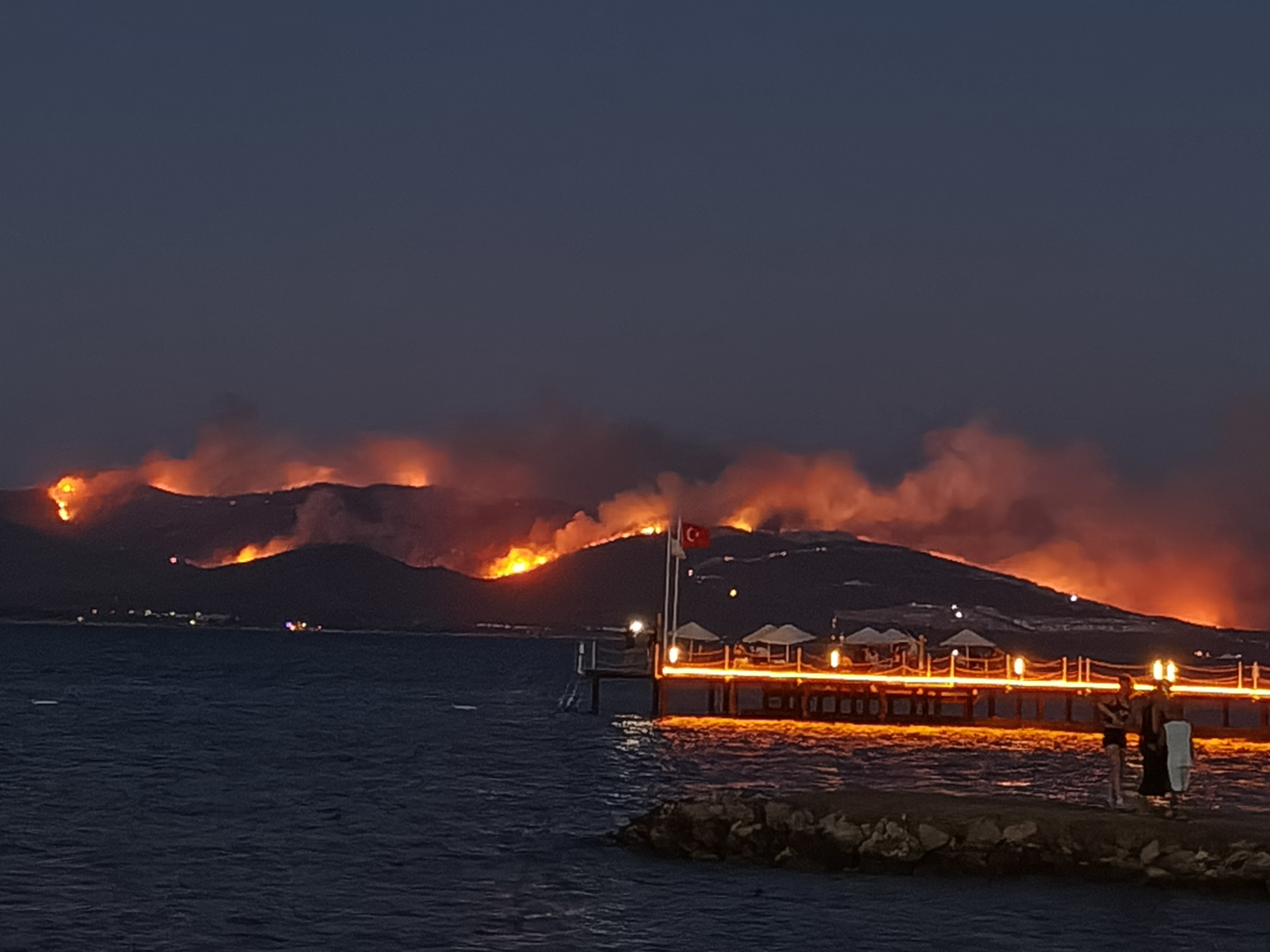 Milas'ta orman yangını