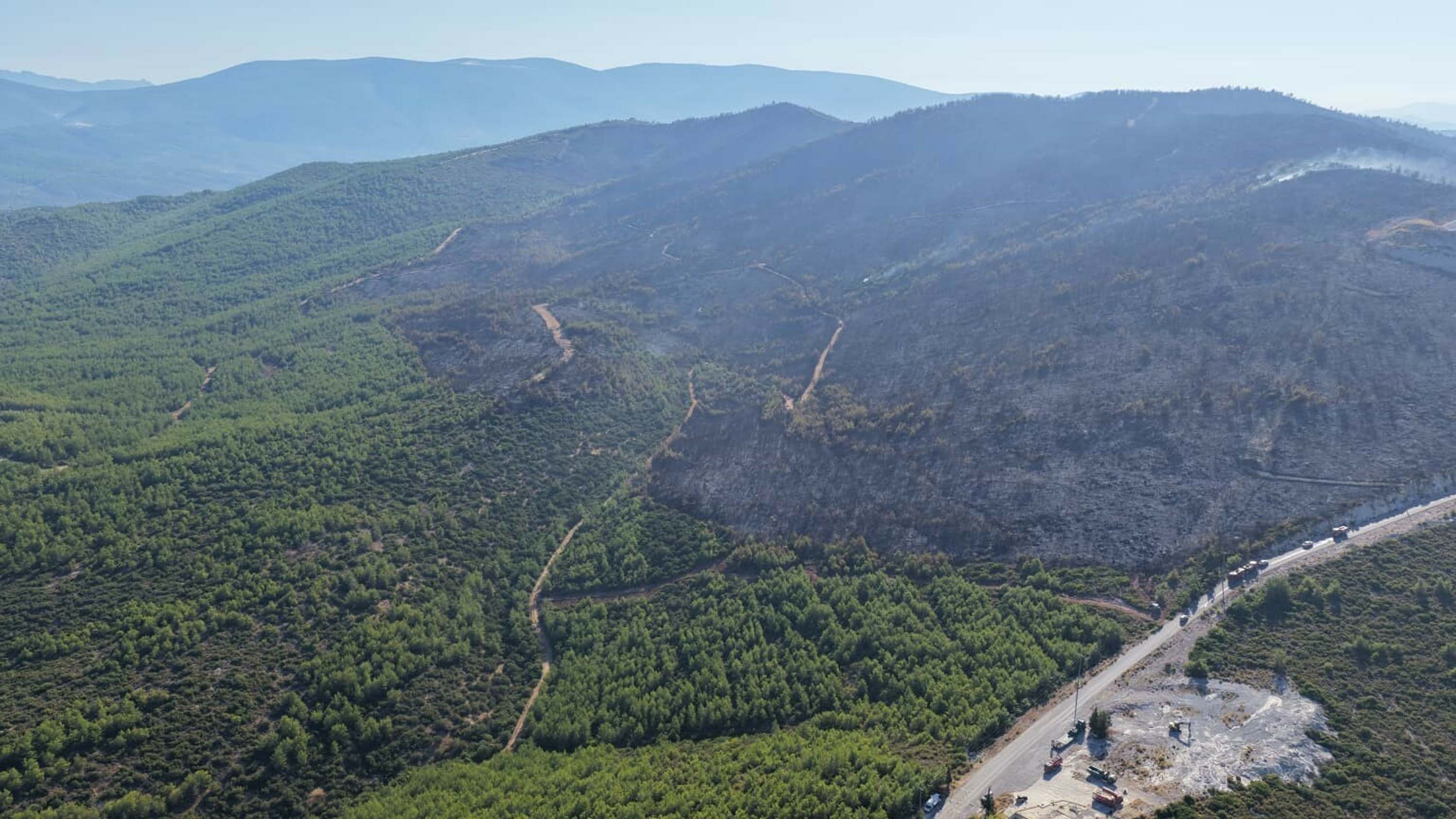 Milas'ta orman yangını