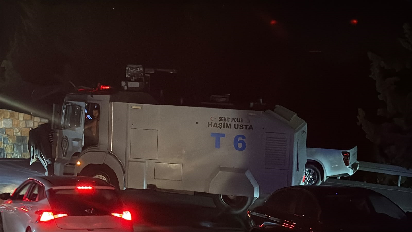 Milas'ta orman yangını