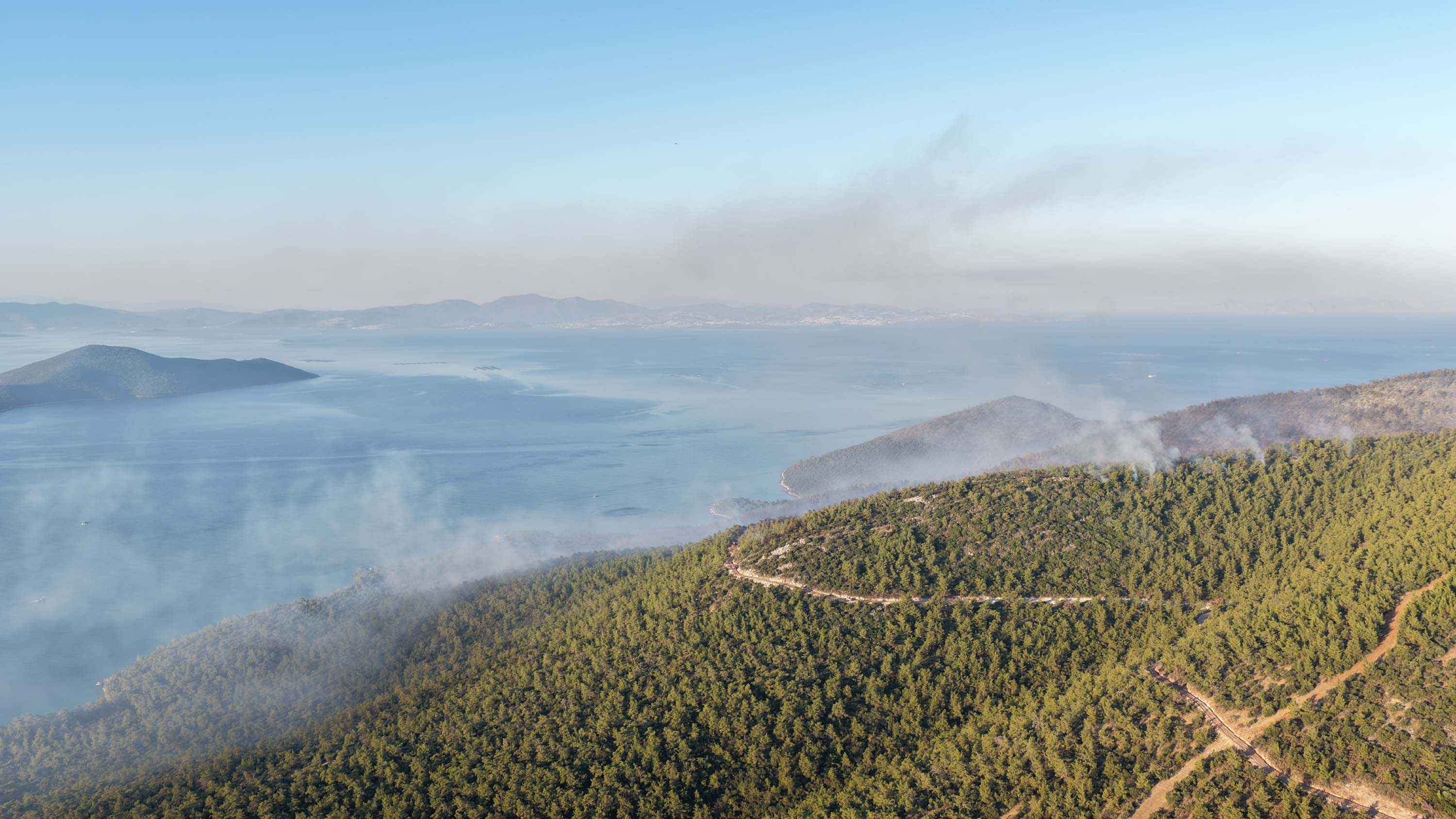 Milas'ta orman yangını