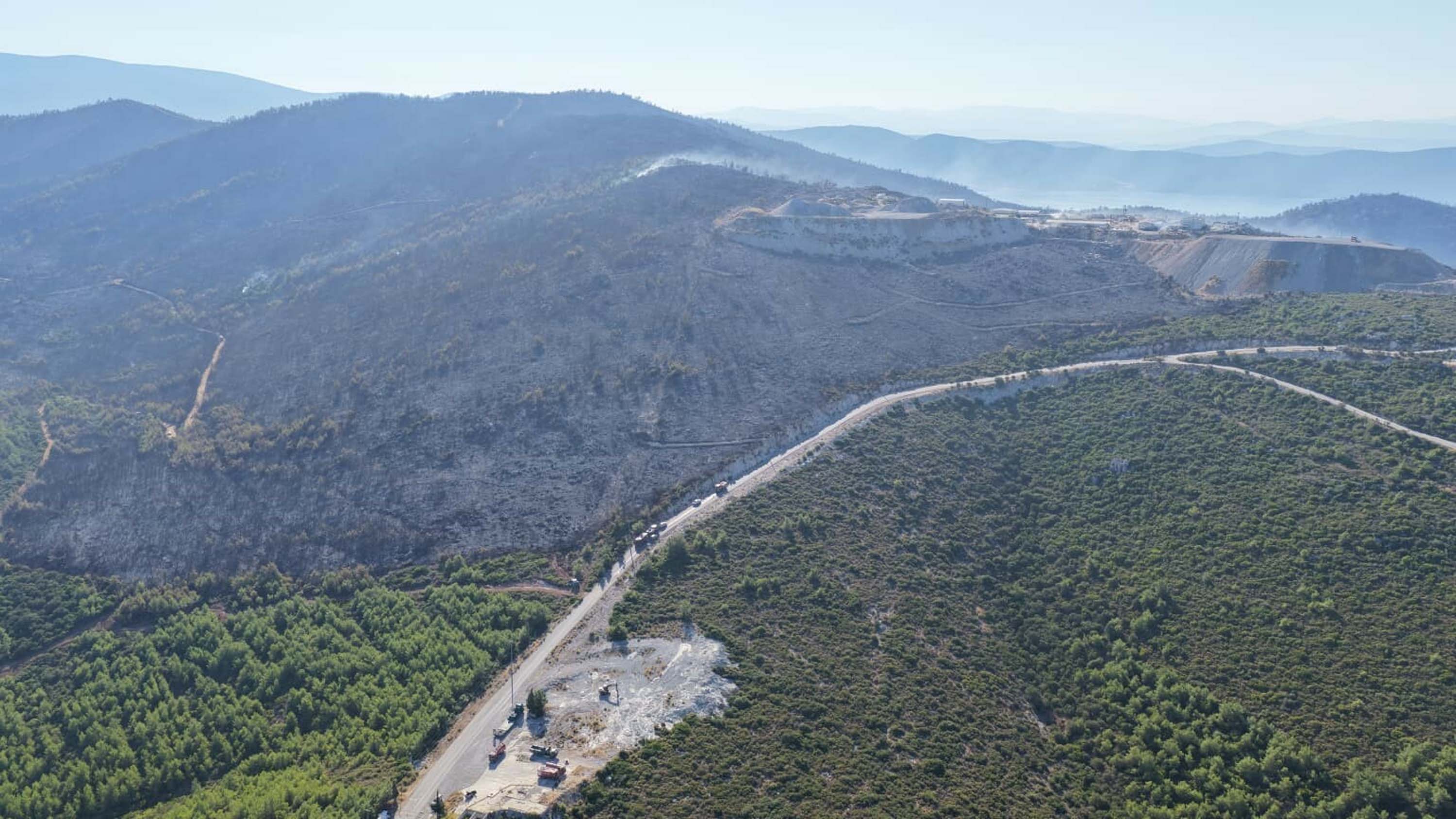 Milas'ta orman yangını