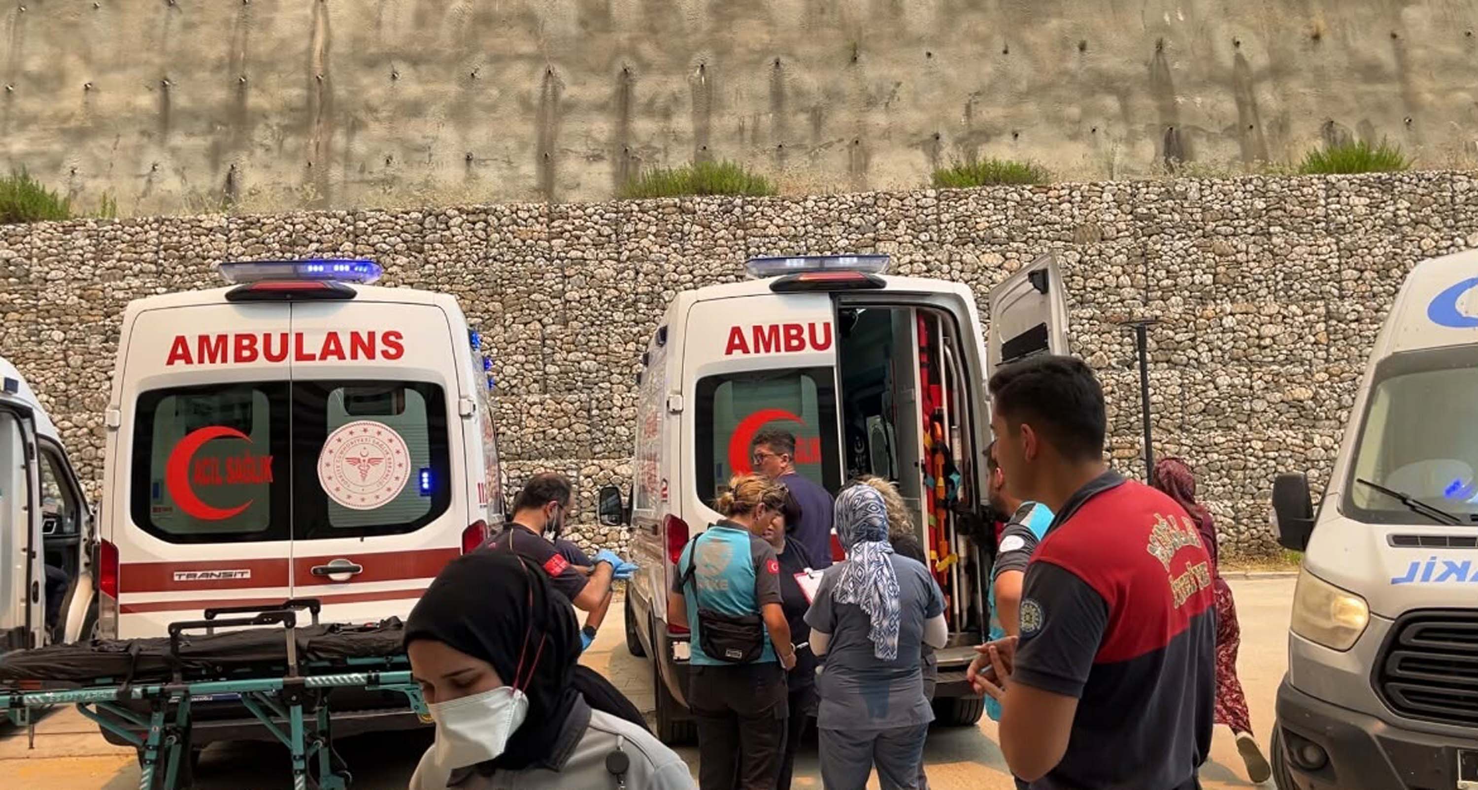 Muğla Seydikemer'de orman yangını