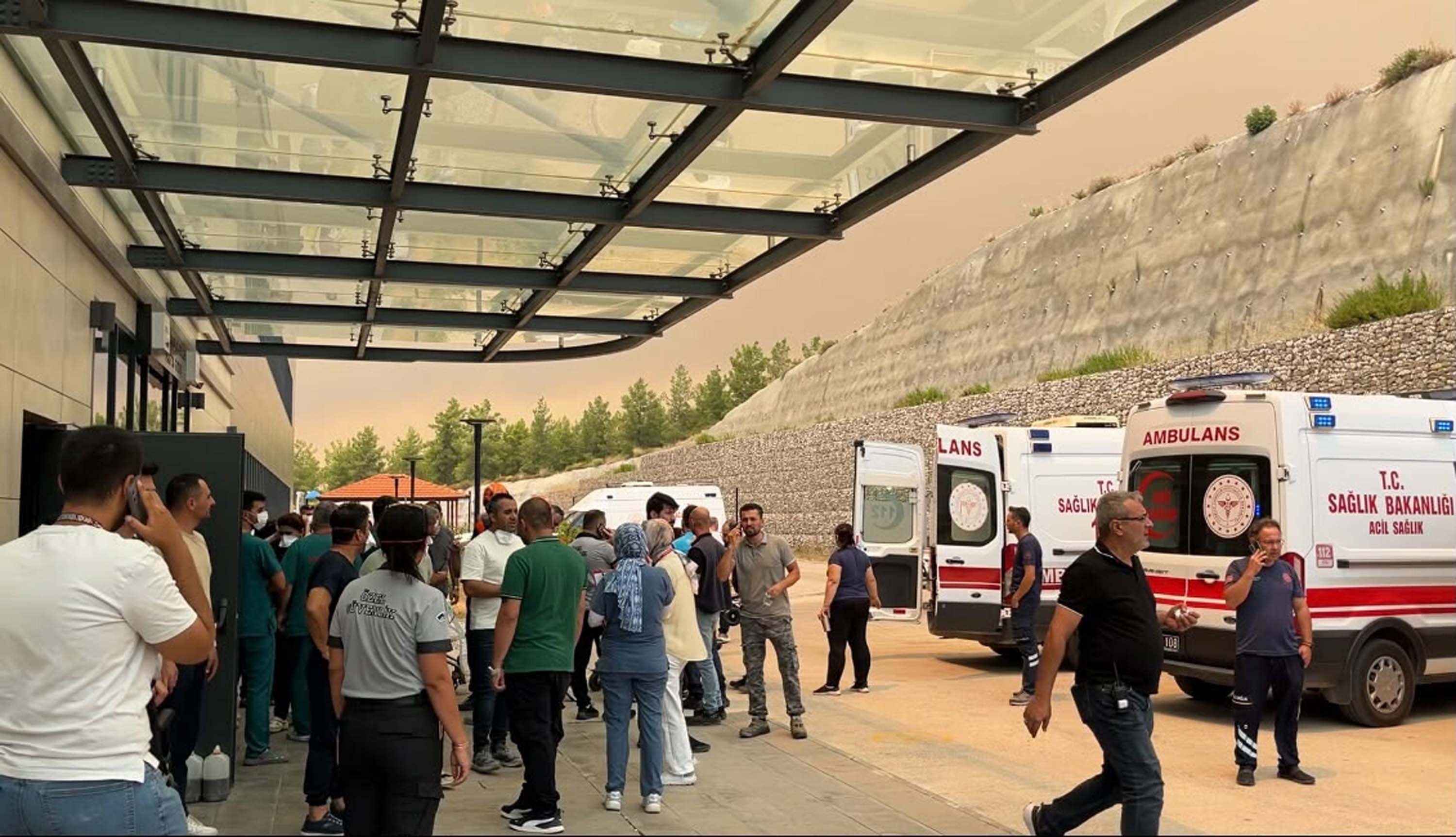 Muğla Seydikemer'de orman yangını