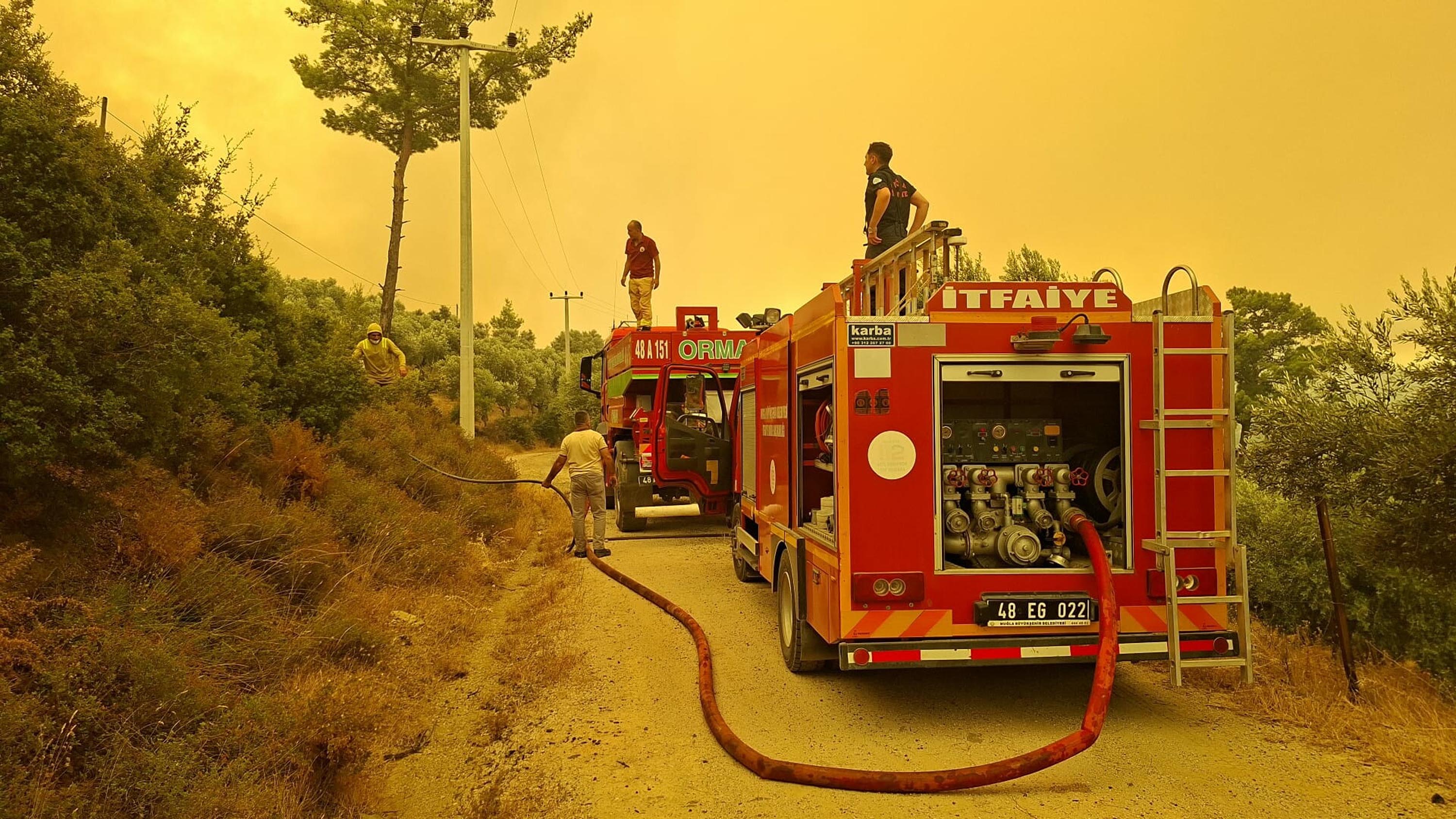 Muğla Seydikemer'de orman yangını