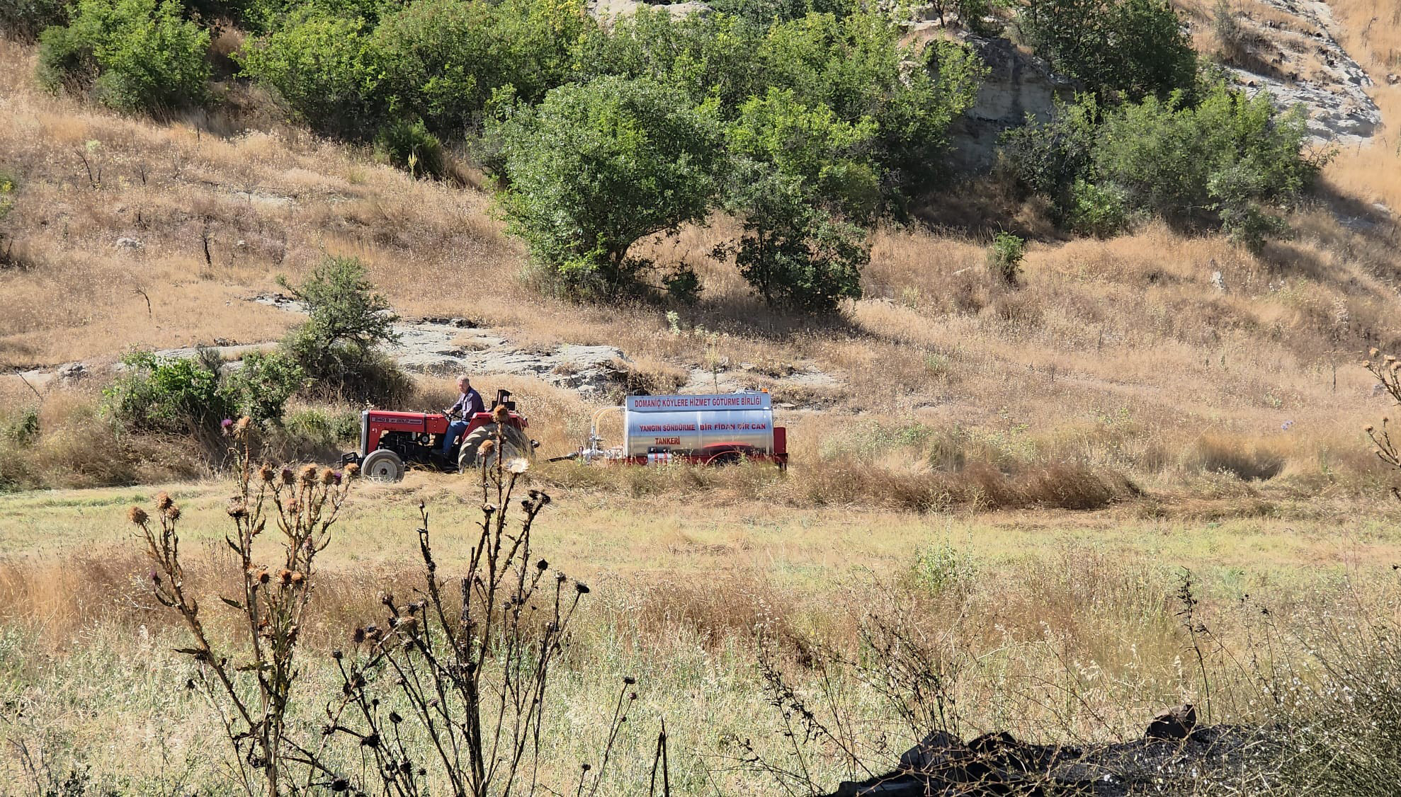 Kütahya'da orman yangını