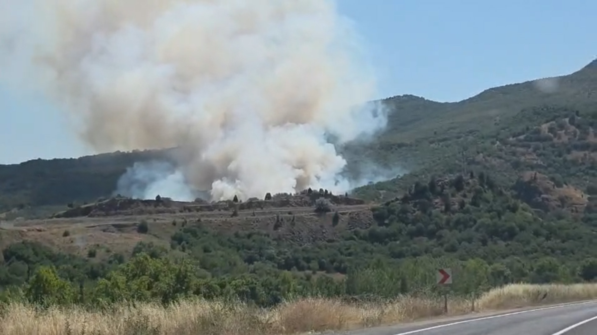Kütahya'da orman yangını